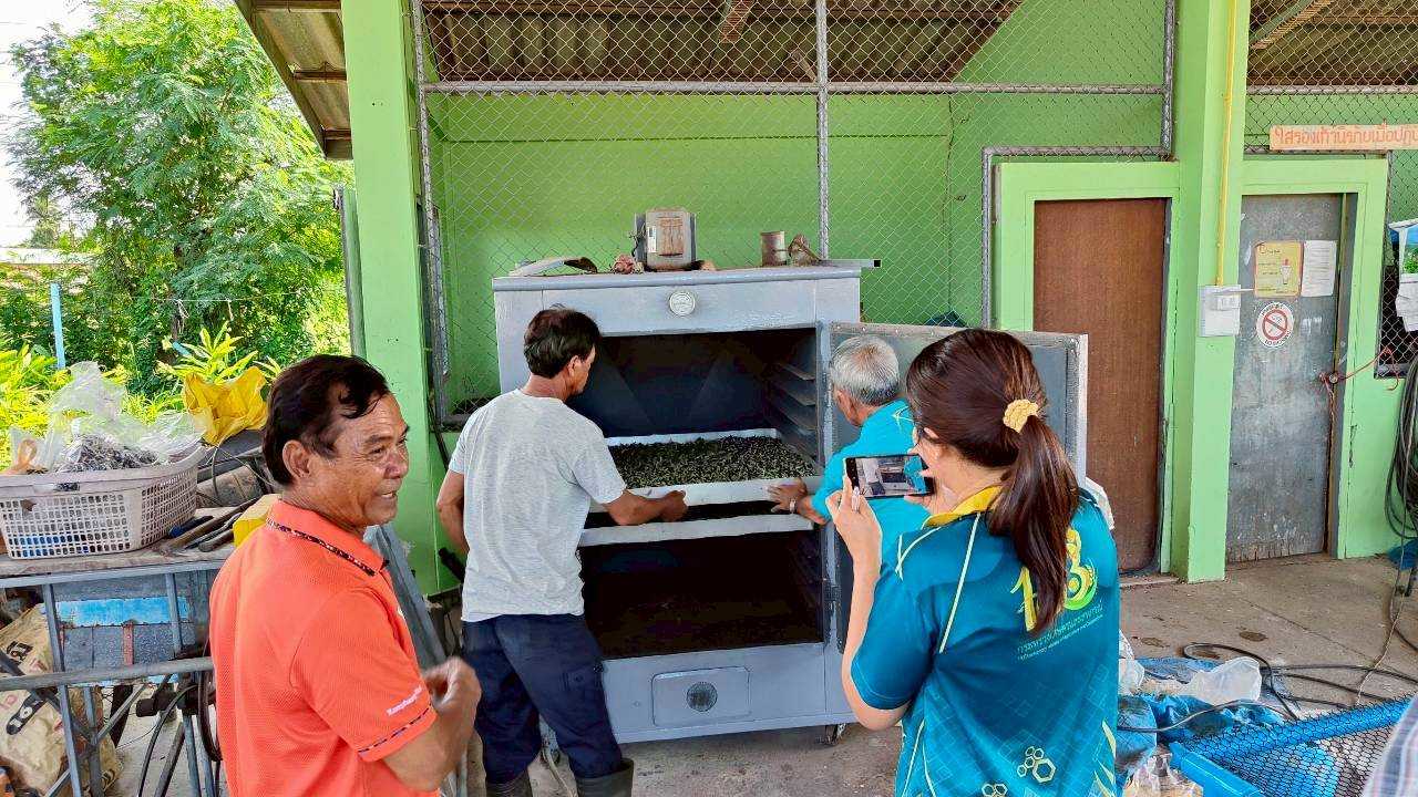 ต้นแบบแปลงใหญ่ ‘ตะไคร้บ้านวงฆ้อง’ จ.กำแพงเพชร รวมกลุ่มผลิตมาตรฐาน GAP สร้างรายได้ หนุนเศรษฐกิจชุมชน 8 LINE ALBUM ข่าวตะไคร้ สศท 12 251022 35 0