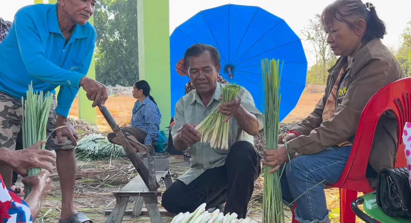 ต้นแบบแปลงใหญ่ ‘ตะไคร้บ้านวงฆ้อง’ จ.กำแพงเพชร รวมกลุ่มผลิตมาตรฐาน GAP สร้างรายได้ หนุนเศรษฐกิจชุมชน 3 LINE ALBUM ข่าวตะไคร้ สศท 12 251022 3 0