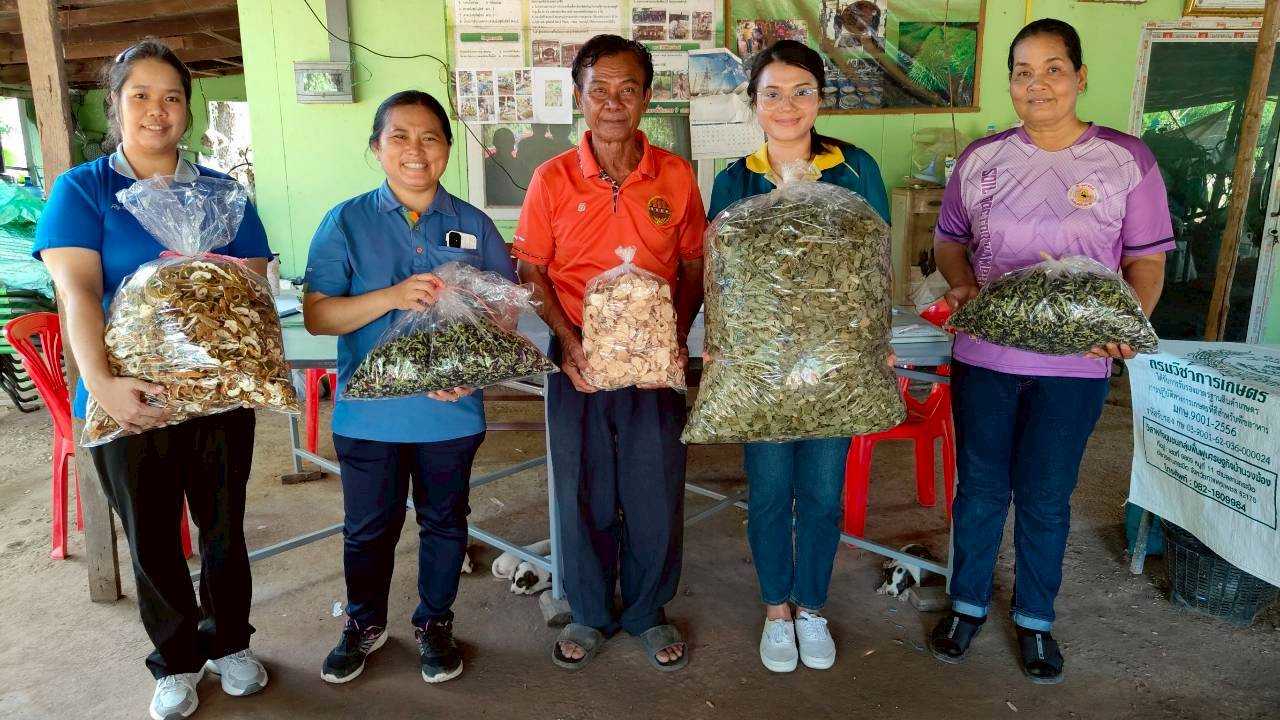 ต้นแบบแปลงใหญ่ ‘ตะไคร้บ้านวงฆ้อง’ จ.กำแพงเพชร รวมกลุ่มผลิตมาตรฐาน GAP สร้างรายได้ หนุนเศรษฐกิจชุมชน 7 LINE ALBUM ข่าวตะไคร้ สศท 12 251022 44 0