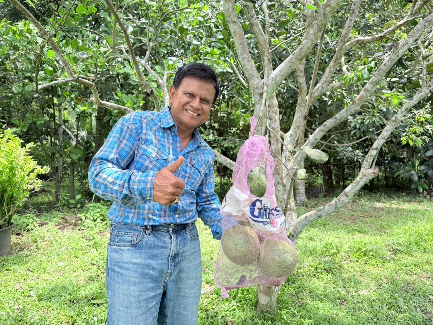 ของดีเมืองสงขลา ‘ส้มโอหอมควนลัง’ GI เกษตรกรรวมกลุ่มผลิตส้มโอคุณภาพ ออกตลาด ต.ค. - พ.ย. นี้ 3 LINE ALBUM ส้มโอ 251006 5