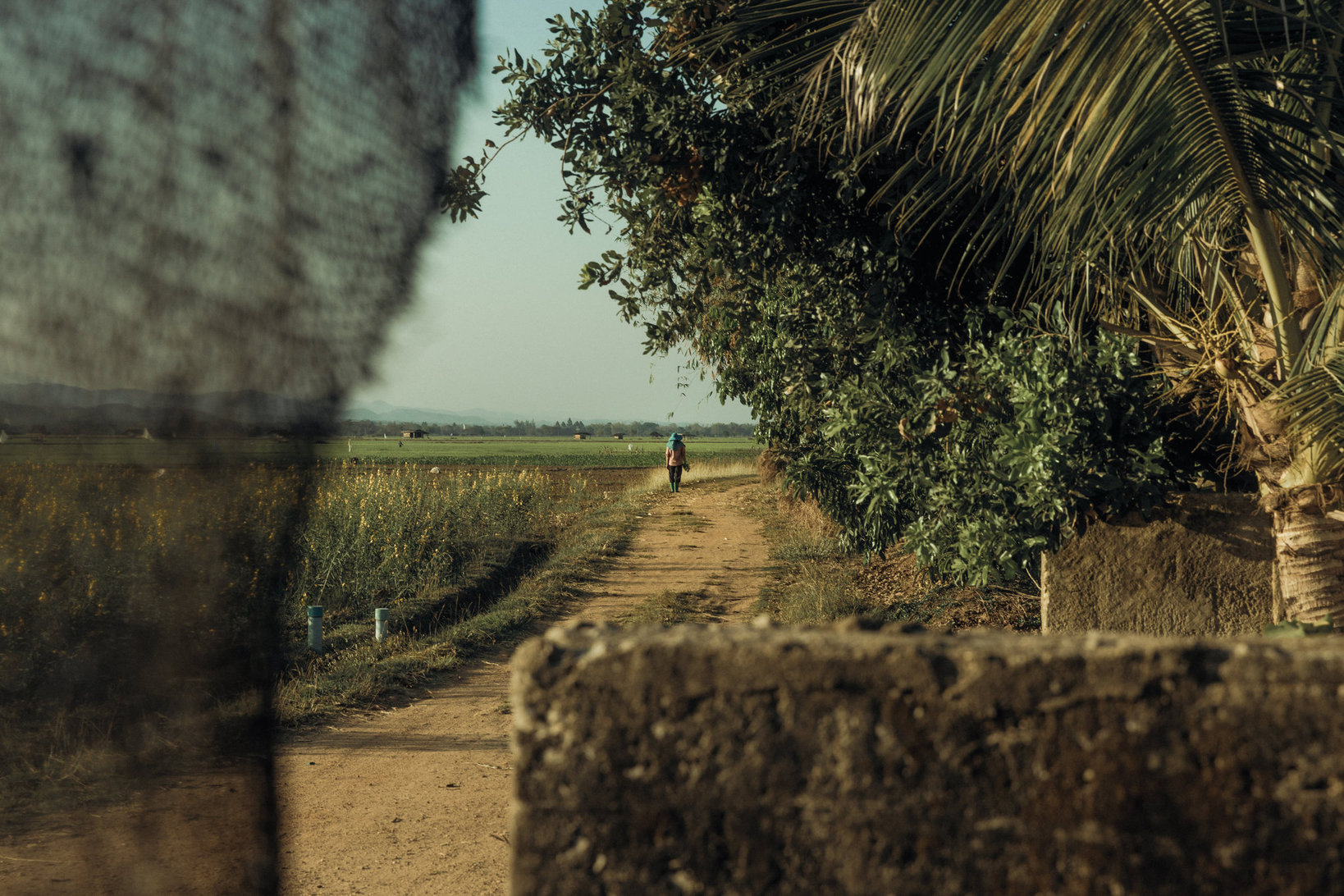 เนชั่นแนล จีโอกราฟฟิก จับมือ เป๊ปซี่โคเปิดตัวโครงการ “Food for Tomorrow” ขับเคลื่อนเกษตรกรรมเชิงฟื้นฟูเกษตรกรหญิงชาวไทยจะเป็นหนึ่งในผู้ถ่ายทอดเรื่องราวผ่านภาพยนตร์ชุดพิเศษที่พัฒนาโดยNational Geographic CreativeWorks เพื่อถ่ายทอดแบบอย่างของความยืดหยุ่นที่สร้างแรงบันดาลใจในระดับโลก 6 NGS photo 1