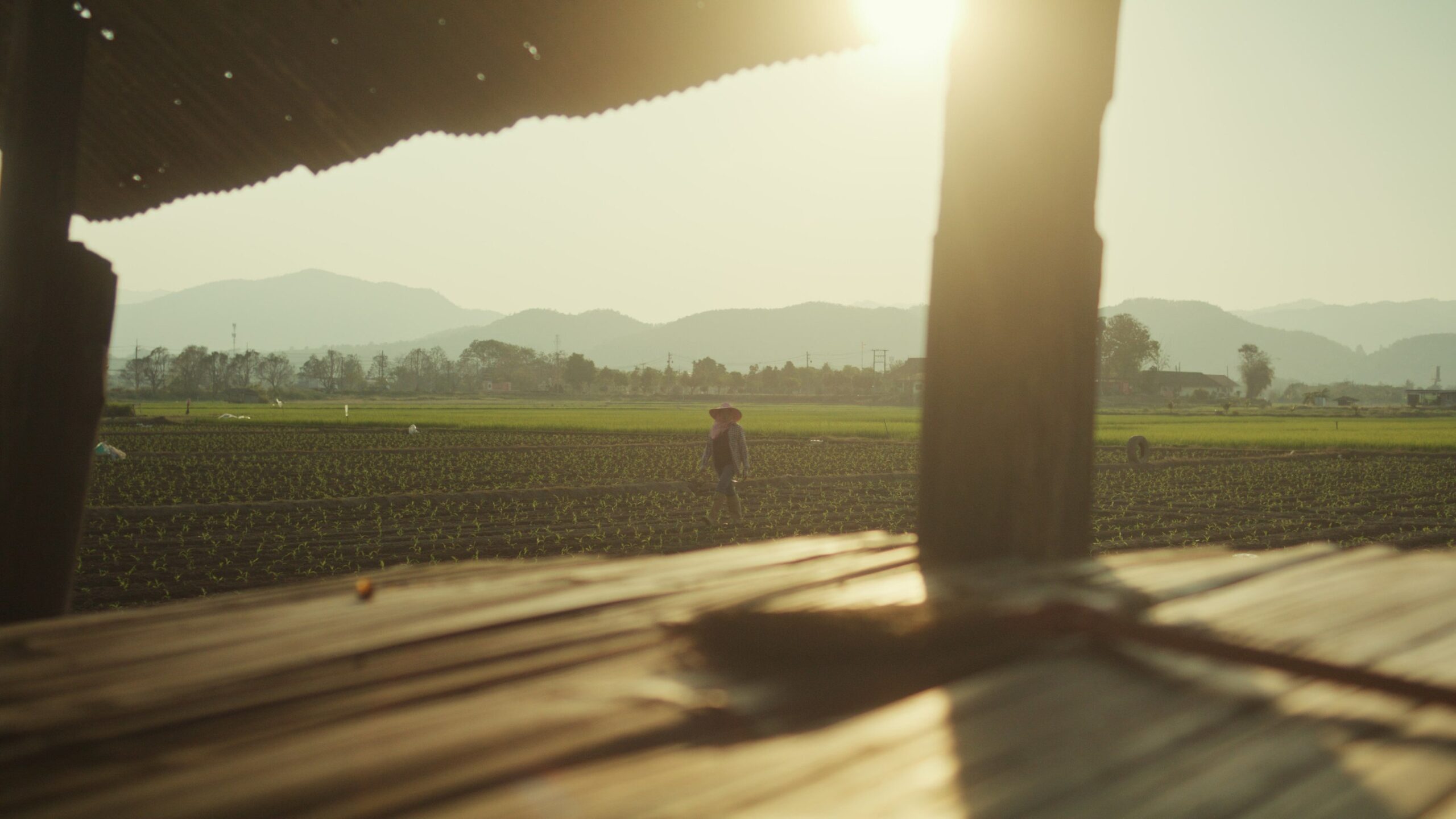 เนชั่นแนล จีโอกราฟฟิก จับมือ เป๊ปซี่โคเปิดตัวโครงการ “Food for Tomorrow” ขับเคลื่อนเกษตรกรรมเชิงฟื้นฟูเกษตรกรหญิงชาวไทยจะเป็นหนึ่งในผู้ถ่ายทอดเรื่องราวผ่านภาพยนตร์ชุดพิเศษที่พัฒนาโดยNational Geographic CreativeWorks เพื่อถ่ายทอดแบบอย่างของความยืดหยุ่นที่สร้างแรงบันดาลใจในระดับโลก 3 NGS photo 2 scaled