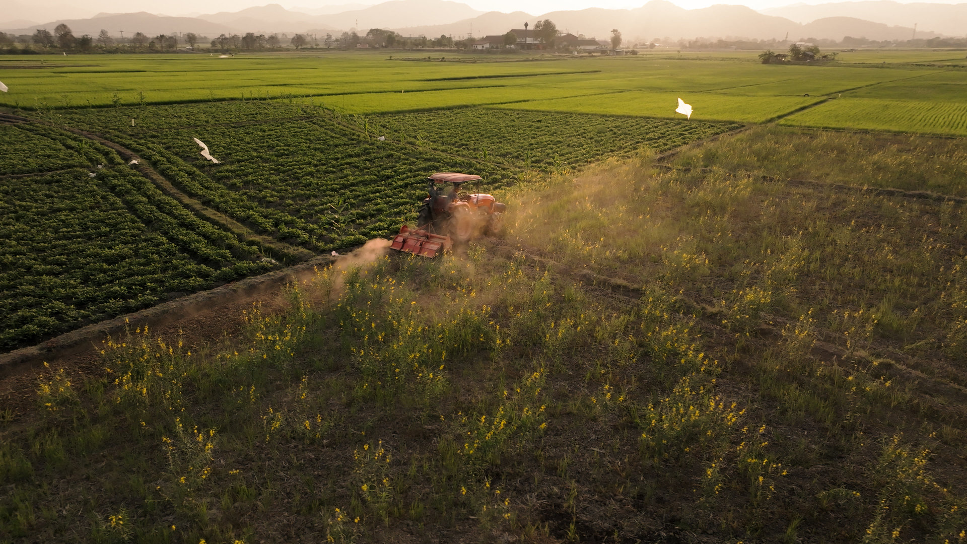 เนชั่นแนล จีโอกราฟฟิก จับมือ เป๊ปซี่โคเปิดตัวโครงการ “Food for Tomorrow” ขับเคลื่อนเกษตรกรรมเชิงฟื้นฟูเกษตรกรหญิงชาวไทยจะเป็นหนึ่งในผู้ถ่ายทอดเรื่องราวผ่านภาพยนตร์ชุดพิเศษที่พัฒนาโดยNational Geographic CreativeWorks เพื่อถ่ายทอดแบบอย่างของความยืดหยุ่นที่สร้างแรงบันดาลใจในระดับโลก 5 NGS photo 4