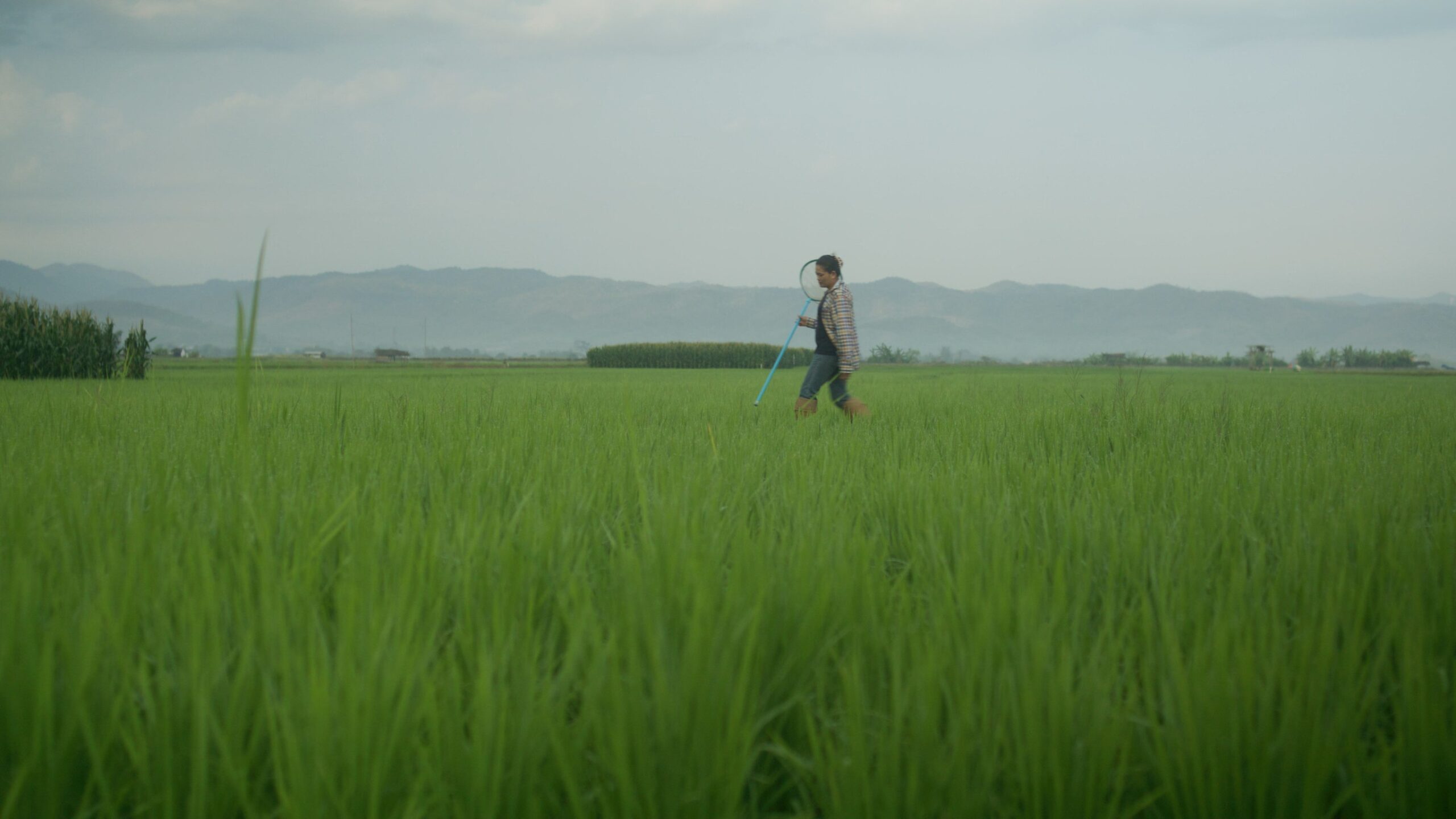 เนชั่นแนล จีโอกราฟฟิก จับมือ เป๊ปซี่โคเปิดตัวโครงการ “Food for Tomorrow” ขับเคลื่อนเกษตรกรรมเชิงฟื้นฟูเกษตรกรหญิงชาวไทยจะเป็นหนึ่งในผู้ถ่ายทอดเรื่องราวผ่านภาพยนตร์ชุดพิเศษที่พัฒนาโดยNational Geographic CreativeWorks เพื่อถ่ายทอดแบบอย่างของความยืดหยุ่นที่สร้างแรงบันดาลใจในระดับโลก 2 NGS photo 5 scaled