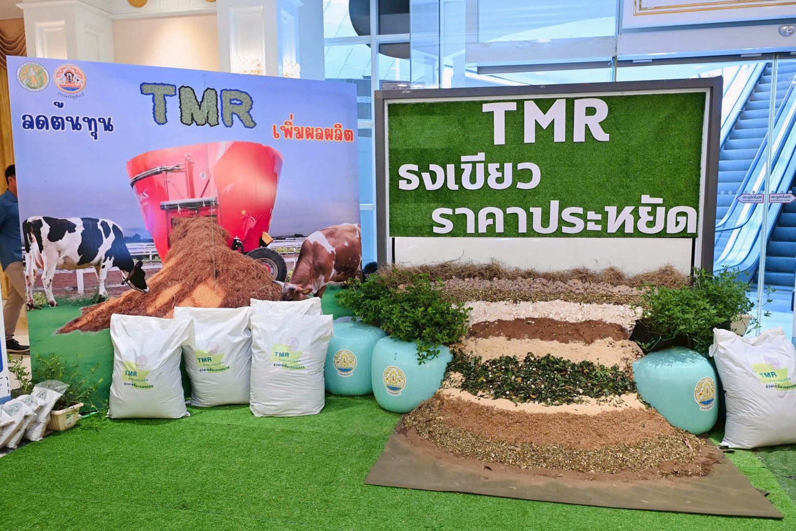 กรมปศุสัตว์ ขานรับนโยบาย รมว.กษ. เดินหน้าเร่งขับเคลื่อนโครงการอาหารสัตว์ธงเขียว มุ่งลดต้นทุนอาหารสัตว์ สร้างรายได้ให้เกษตรกรอย่างเป็นรูปธรรม 6 S 16687211