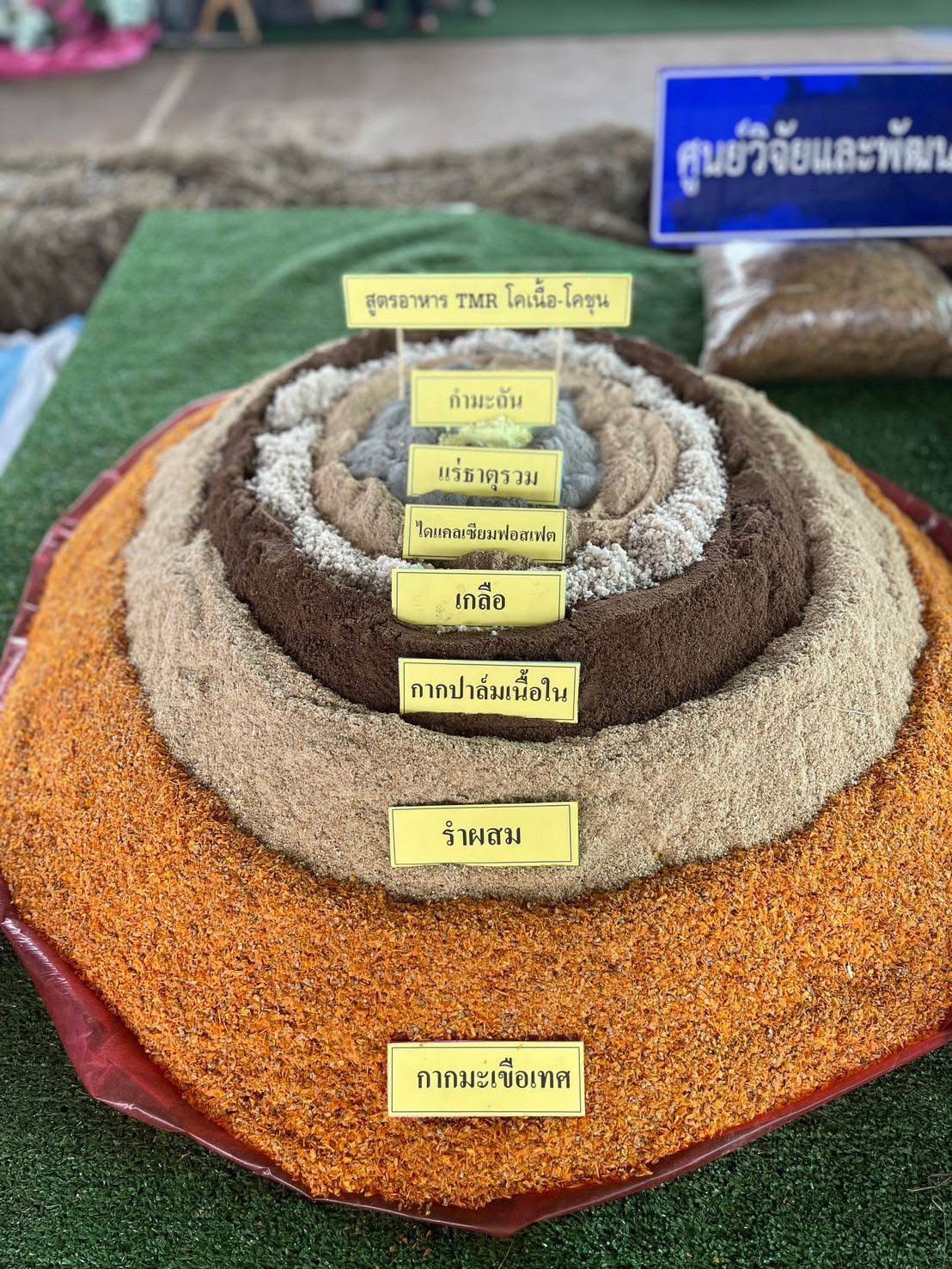 กรมปศุสัตว์ ขานรับนโยบาย รมว.กษ. เดินหน้าเร่งขับเคลื่อนโครงการอาหารสัตว์ธงเขียว มุ่งลดต้นทุนอาหารสัตว์ สร้างรายได้ให้เกษตรกรอย่างเป็นรูปธรรม 7 S 16687212