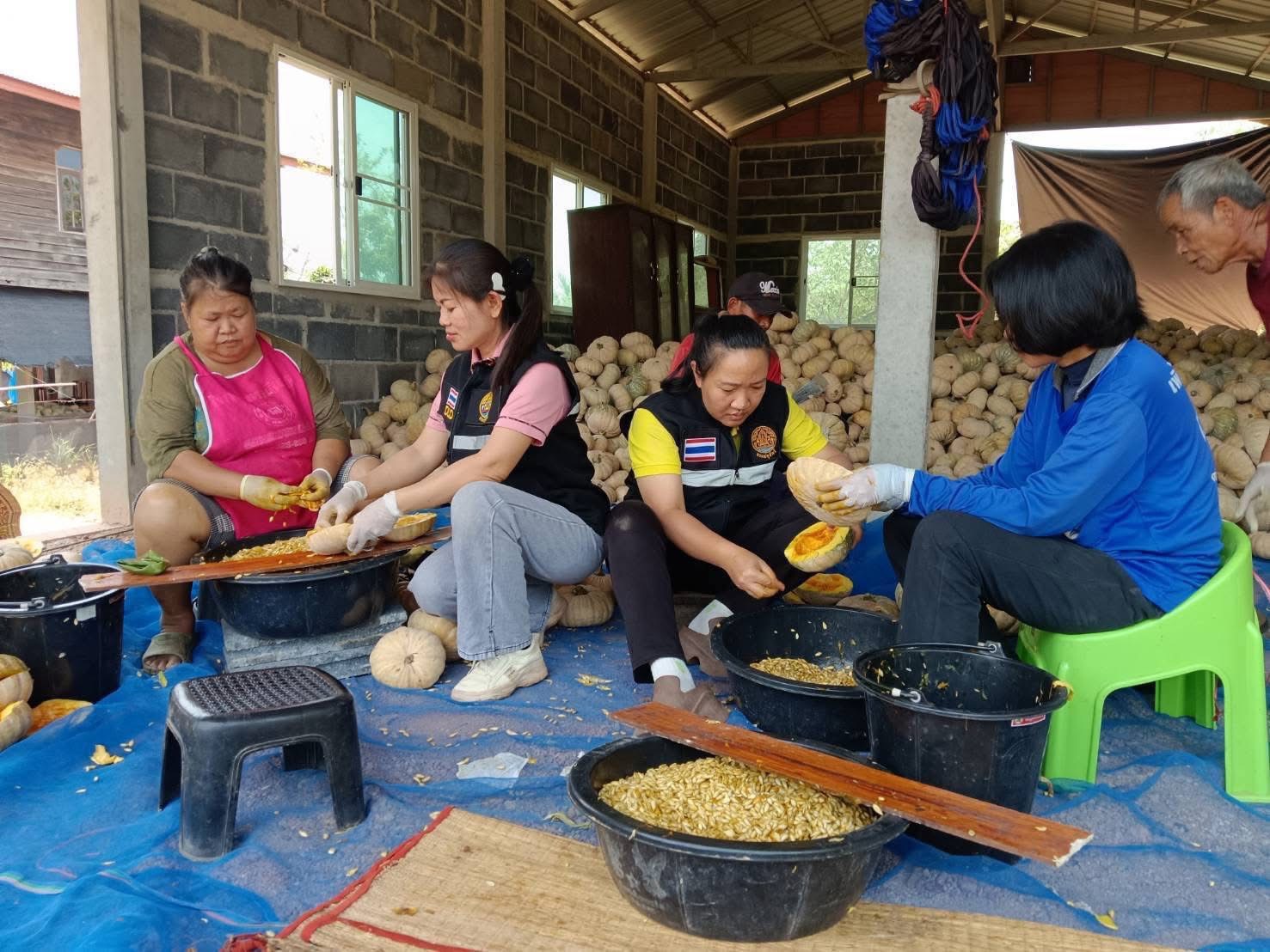 กรมปศุสัตว์ ขานรับนโยบาย รมว.กษ. เดินหน้าเร่งขับเคลื่อนโครงการอาหารสัตว์ธงเขียว มุ่งลดต้นทุนอาหารสัตว์ สร้างรายได้ให้เกษตรกรอย่างเป็นรูปธรรม 8 S 16687213