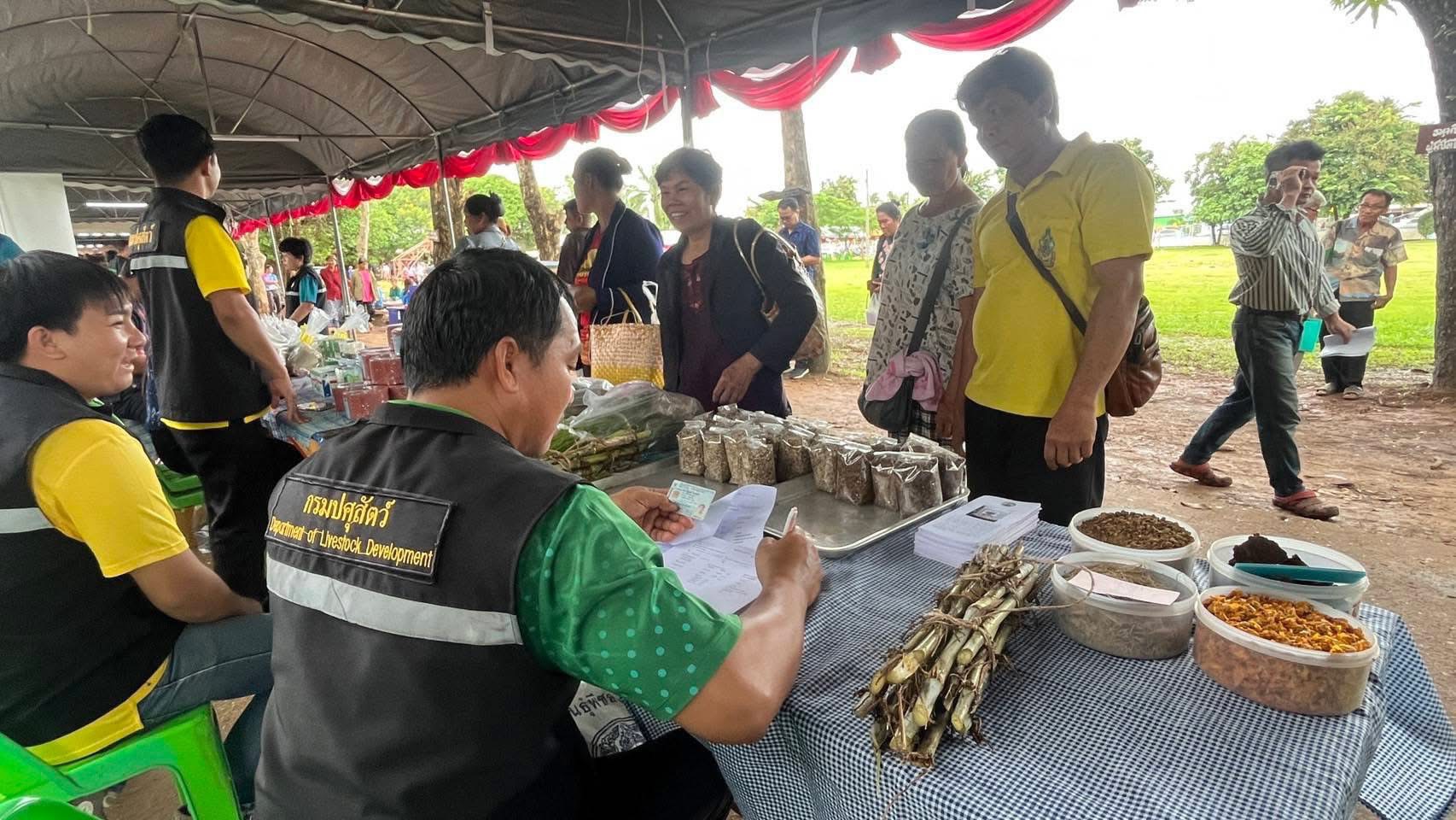 กรมปศุสัตว์ ขานรับนโยบาย รมว.กษ. เดินหน้าเร่งขับเคลื่อนโครงการอาหารสัตว์ธงเขียว มุ่งลดต้นทุนอาหารสัตว์ สร้างรายได้ให้เกษตรกรอย่างเป็นรูปธรรม 9 S 16687214