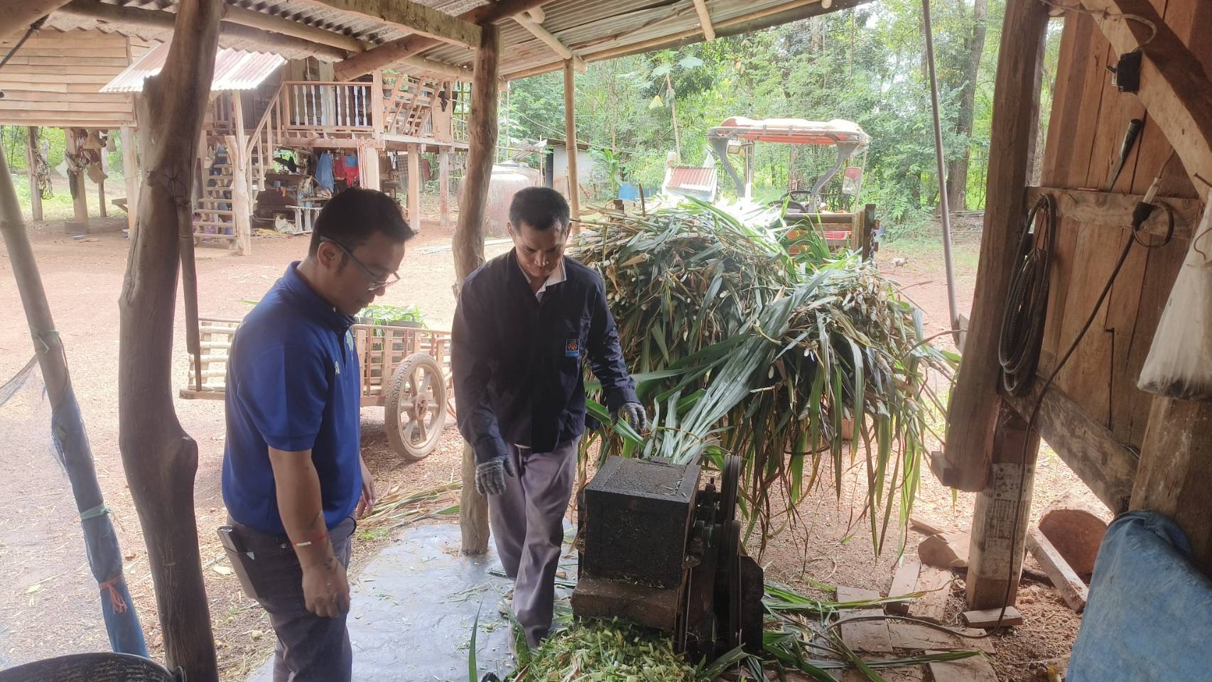 กรมปศุสัตว์ ขานรับนโยบาย รมว.กษ. เดินหน้าเร่งขับเคลื่อนโครงการอาหารสัตว์ธงเขียว มุ่งลดต้นทุนอาหารสัตว์ สร้างรายได้ให้เกษตรกรอย่างเป็นรูปธรรม 10 S 16687216