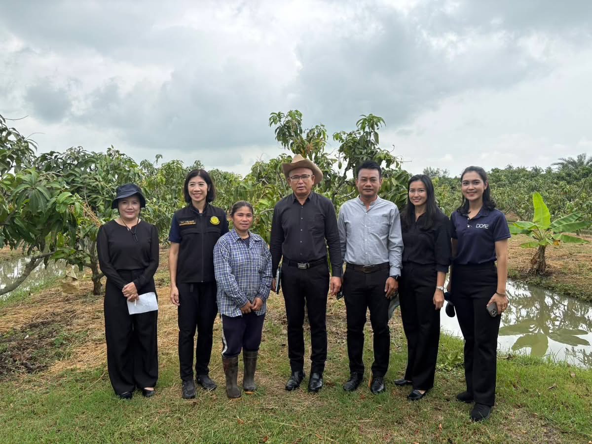 จ.อ่างทอง ลุยหารือเกษตรที่มีความพร้อมส่งออกมะม่วงคุณภาพมาตรฐานไปยังตลาดญี่ปุ่น 2 S 168730629