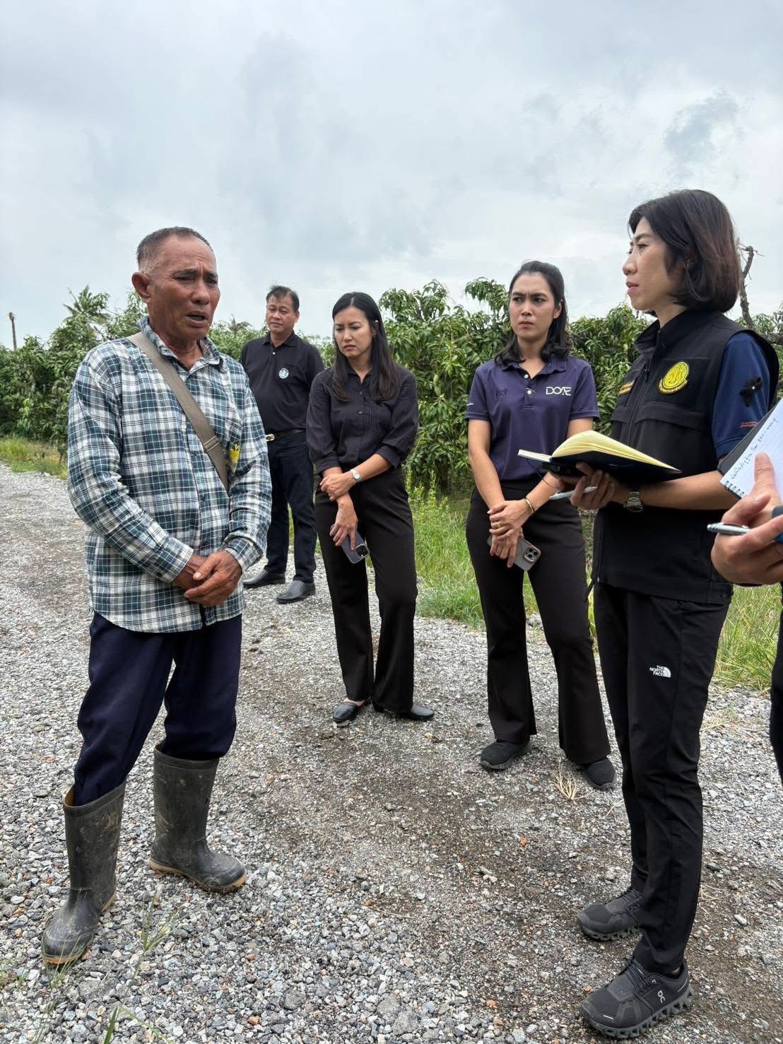 จ.อ่างทอง ลุยหารือเกษตรที่มีความพร้อมส่งออกมะม่วงคุณภาพมาตรฐานไปยังตลาดญี่ปุ่น 5 S 168730634