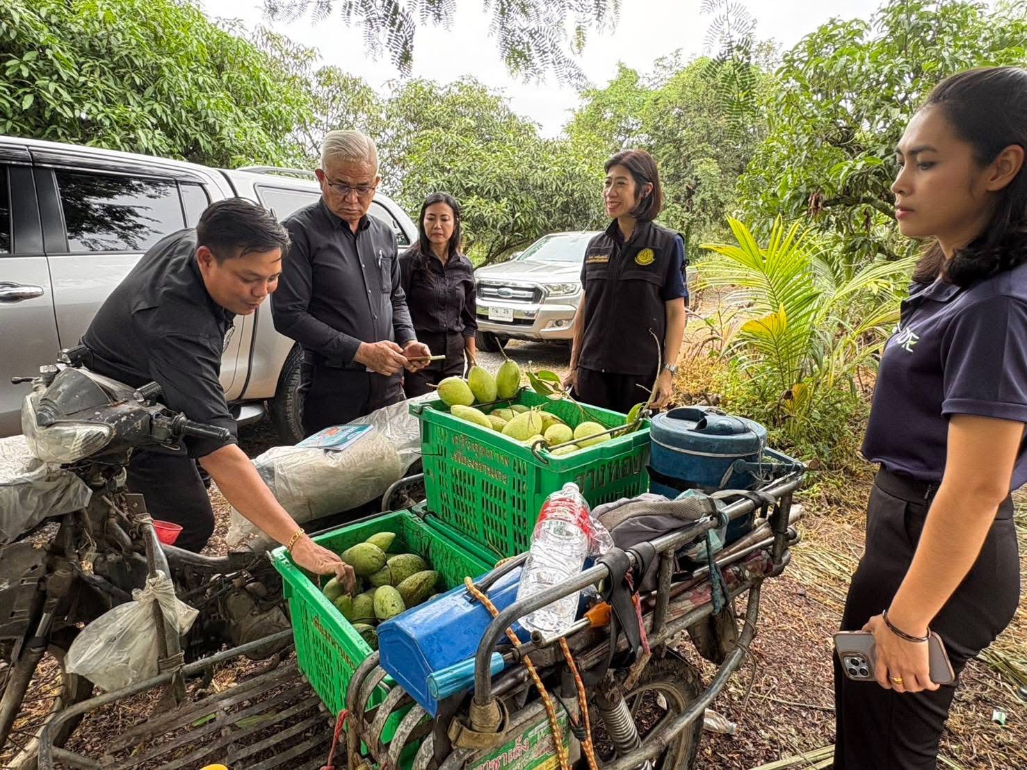 จ.อ่างทอง ลุยหารือเกษตรที่มีความพร้อมส่งออกมะม่วงคุณภาพมาตรฐานไปยังตลาดญี่ปุ่น 6 S 168730637