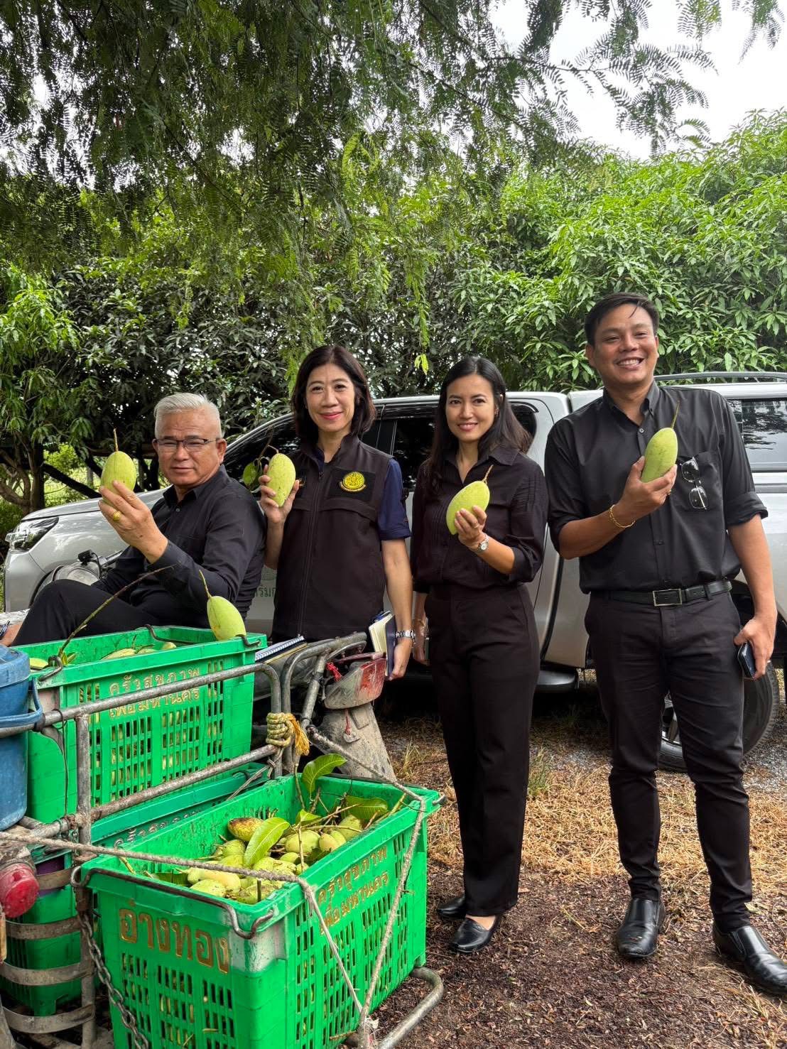 จ.อ่างทอง ลุยหารือเกษตรที่มีความพร้อมส่งออกมะม่วงคุณภาพมาตรฐานไปยังตลาดญี่ปุ่น 7 S 168730638