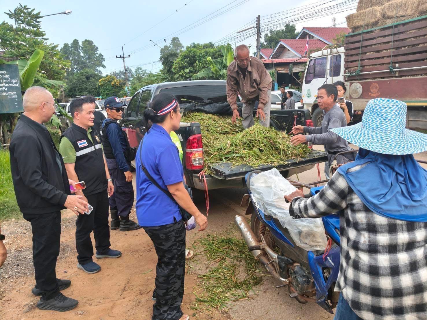 กรมปศุสัตว์เร่งช่วยเกษตรกรชายแดนไทย–กัมพูชา แก้ปัญหาขาดแคลนอาหารสัตว์ 5 S 18268238