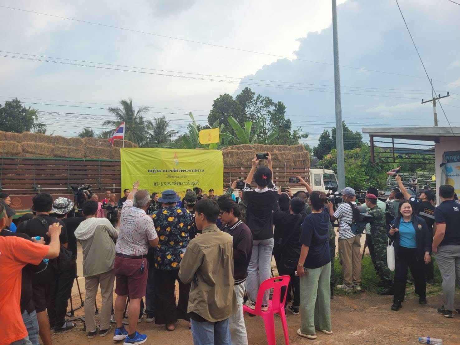 กรมปศุสัตว์เร่งช่วยเกษตรกรชายแดนไทย–กัมพูชา แก้ปัญหาขาดแคลนอาหารสัตว์ 7 S 18268240