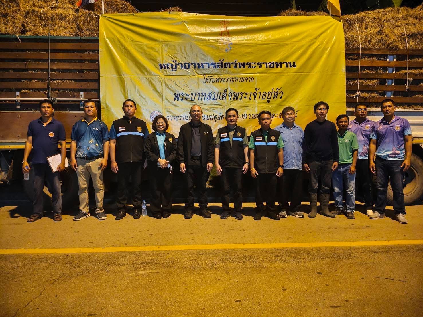 กรมปศุสัตว์เร่งช่วยเกษตรกรชายแดนไทย–กัมพูชา แก้ปัญหาขาดแคลนอาหารสัตว์ 8 S 18268241