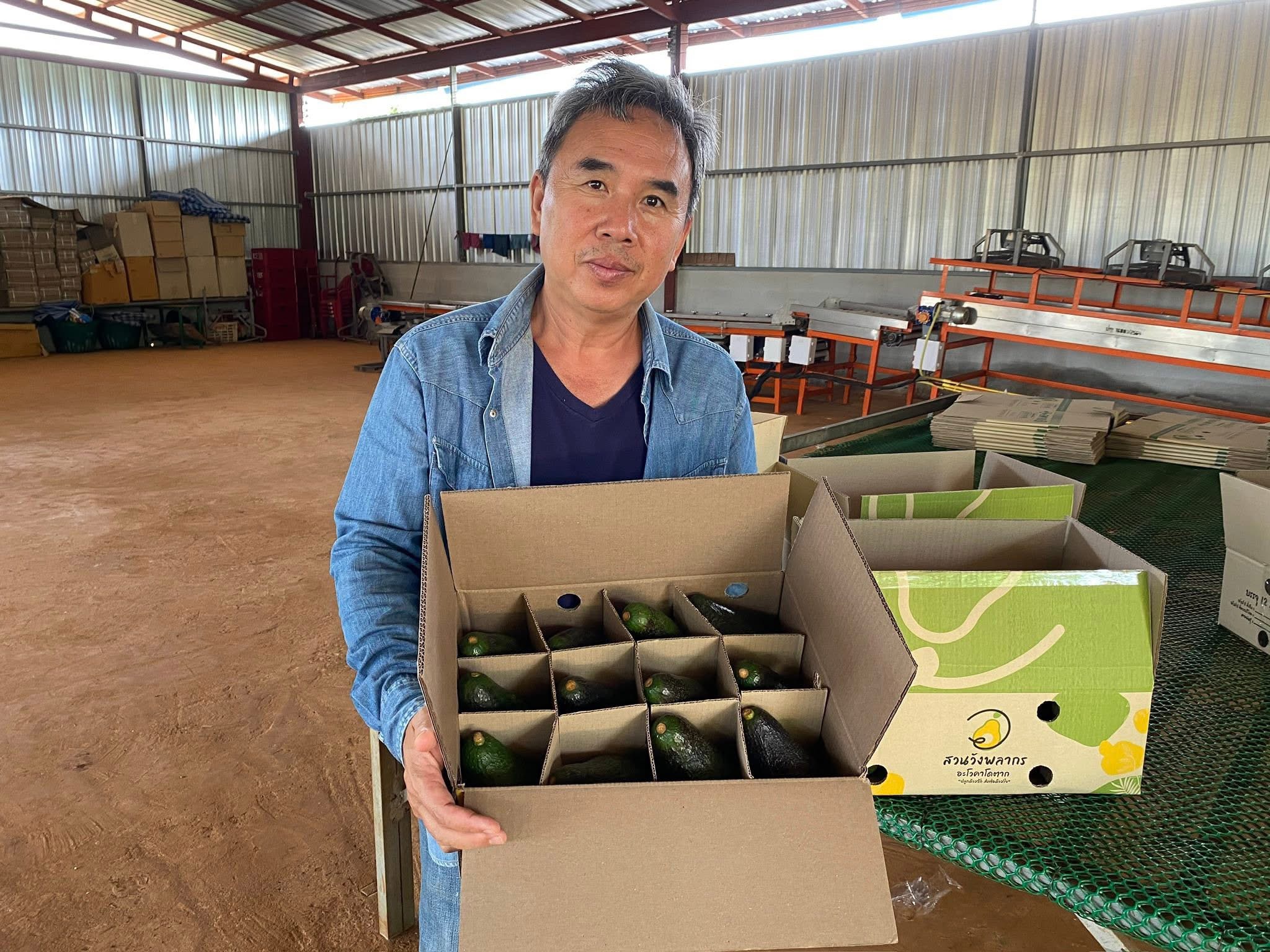 ‘อะโวคาโดพบพระ 08’ จ.ตาก พืชเศรษฐกิจมิติใหม่ ตอบรับ Longevity Trend สร้างโอกาสใหม่ให้เกษตรกรไทย 5 S 20480064 0