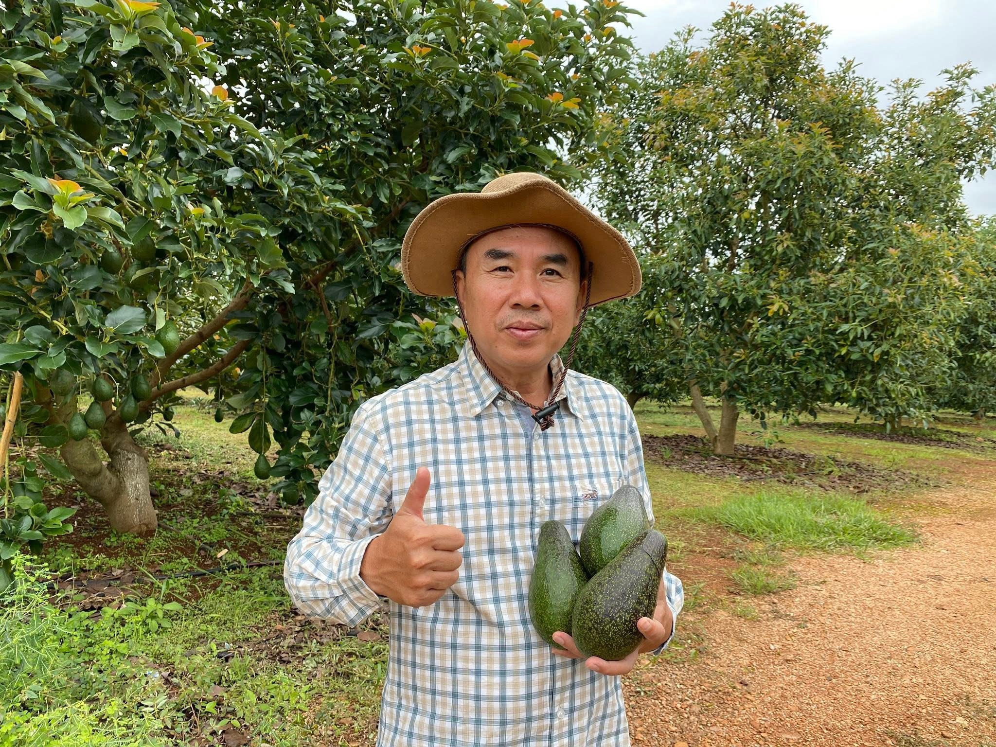 ‘อะโวคาโดพบพระ 08’ จ.ตาก พืชเศรษฐกิจมิติใหม่ ตอบรับ Longevity Trend สร้างโอกาสใหม่ให้เกษตรกรไทย 6 S 20480065 0