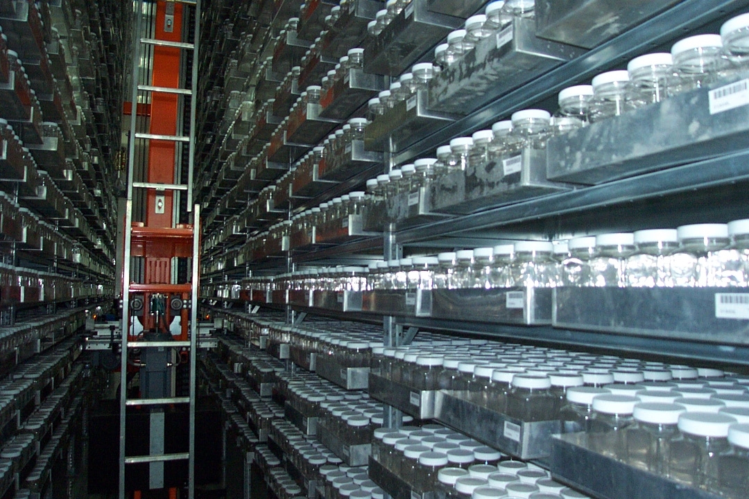 “ธนาคารเชื้อพันธุกรรมพืช (DOA Gene Bank)...ความมั่นคงทางอาหารและความยั่งยืนแห่งอนาคต” 4 S 221446167