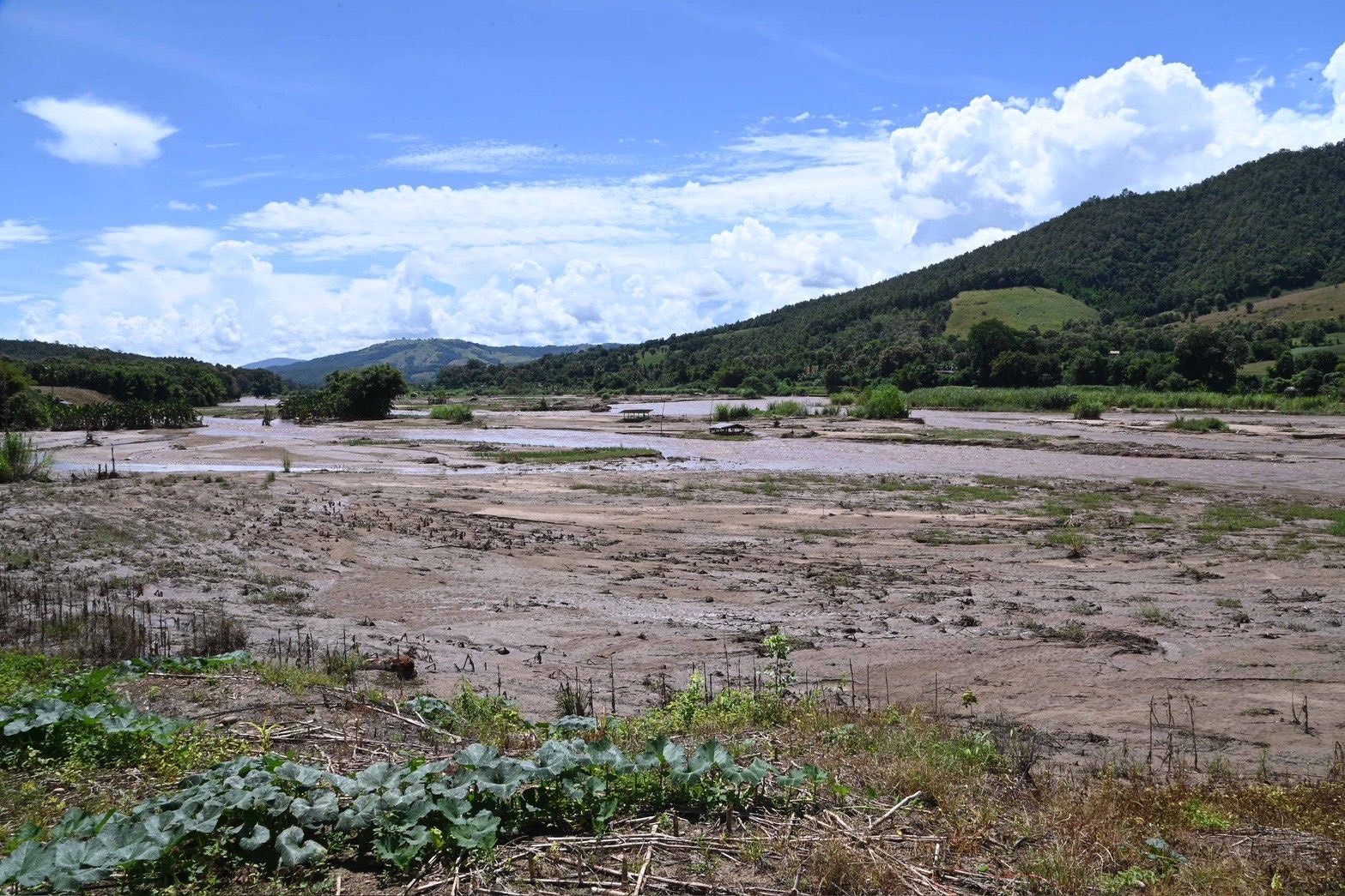 “รมช.นเรศ” เร่งแก้ปัญหาอุทกภัยแม่แจ่มอย่างยั่งยืน ผลักดันโครงการเร่งด่วน “อ่างเก็บน้ำแม่ศึก และฝายผาแดง” ควบคู่ฟื้นฟูพื้นที่หลังน้ำลด บรรเทาความเดือดร้อนเกษตรกร 14 S 22806565