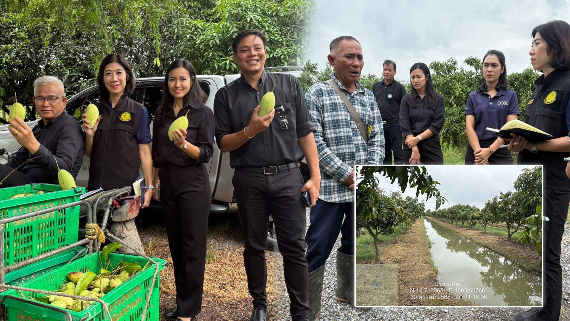 จ.อ่างทอง ลุยหารือเกษตรที่มีความพร้อมส่งออกมะม่วงคุณภาพมาตรฐานไปยังตลาดญี่ปุ่น 1 S 27246602