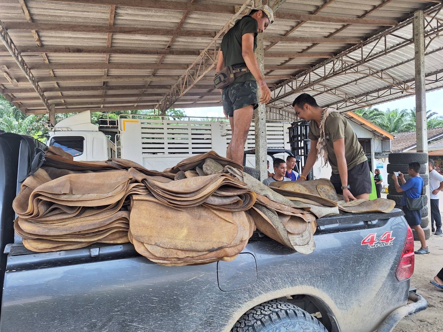 จับยางพาราเถื่อน ลักลอบนำเข้าผิดกฎหมาย 7 S 28672016