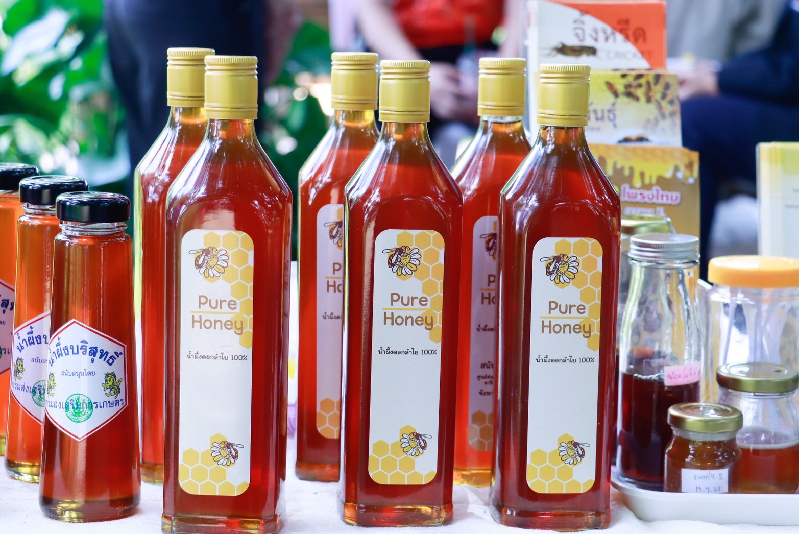 สำนักงานพัฒนาการวิจัยการเกษตร (องค์การมหาชน) ขอส่งข่าว S 7684249