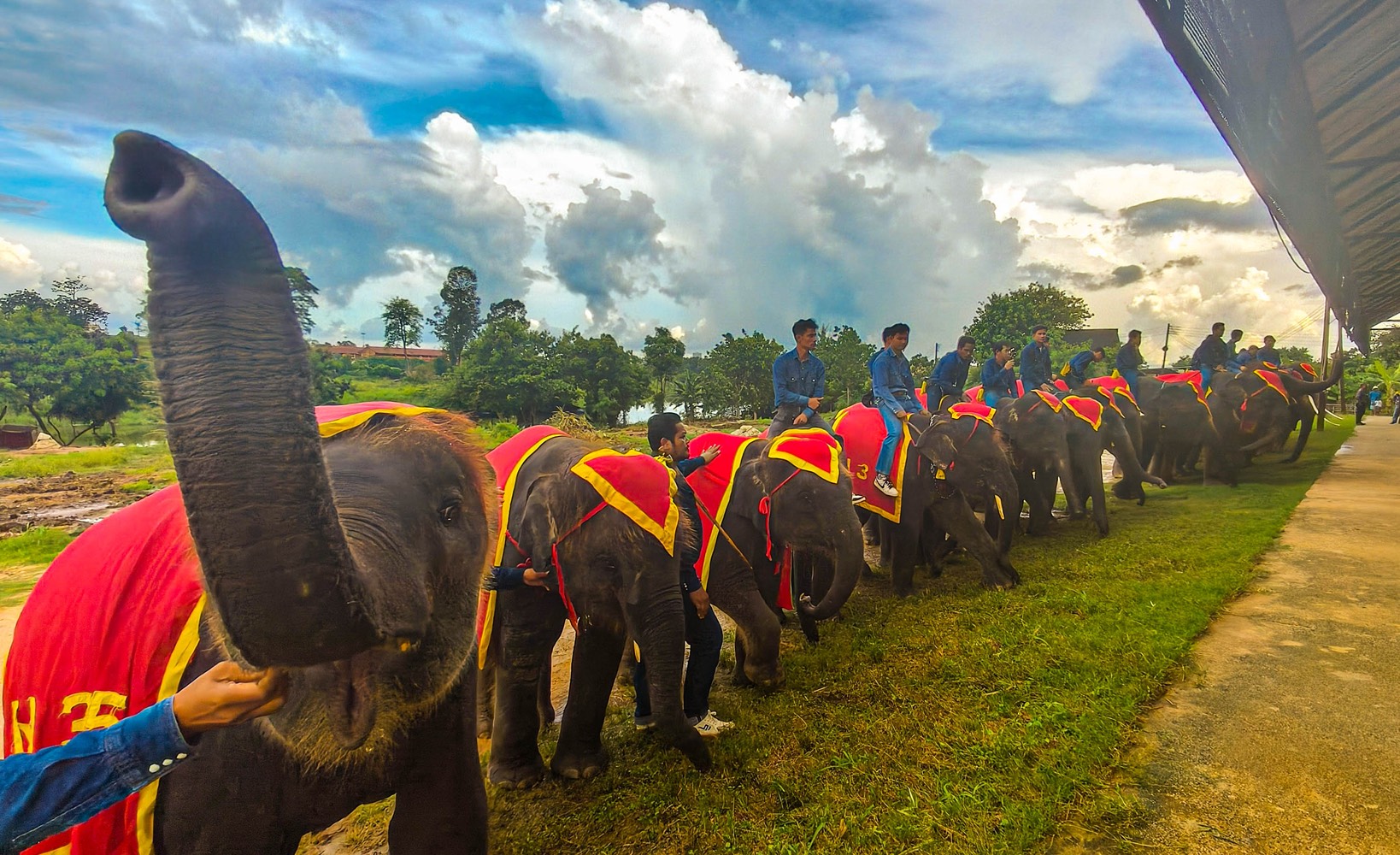 สวนนงนุชพัทยา จัดพิธีรับขวัญลูกช้าง “พลายจอมทอง” เชื่อมสายใยแห่งความผูกพันกับ “น้องข้าวต้ม” ลูกช้างป่าพลัดหลง 5 S 8504499