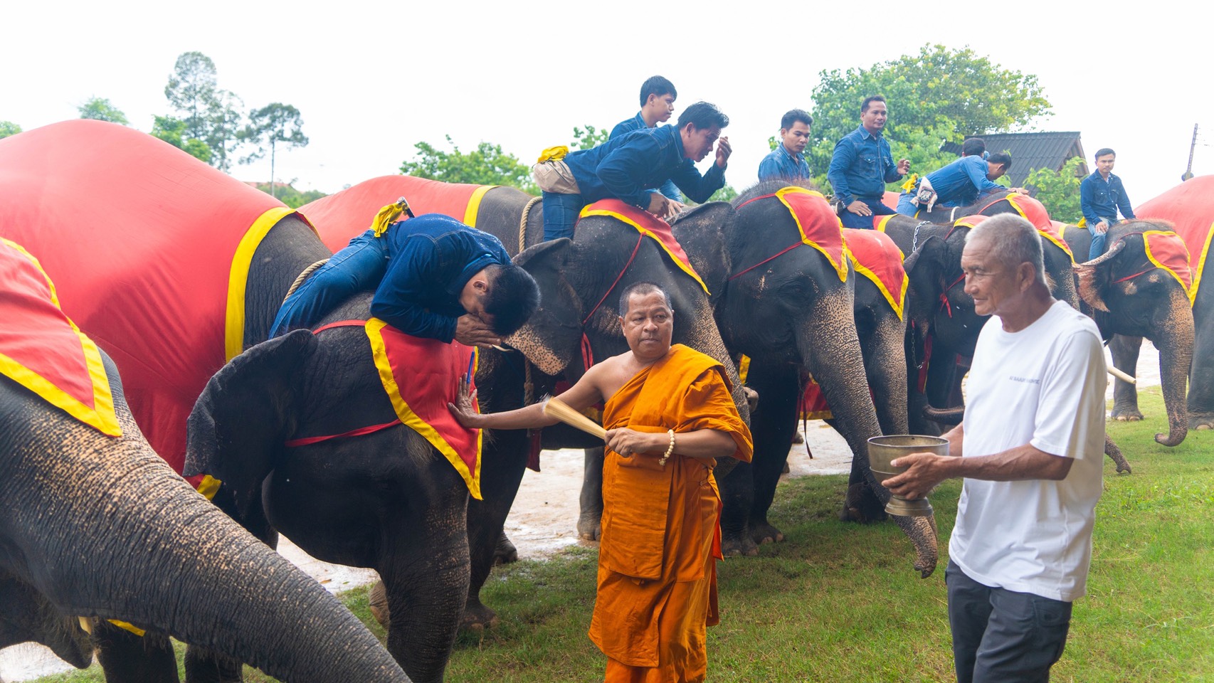 สวนนงนุชพัทยา จัดพิธีรับขวัญลูกช้าง “พลายจอมทอง” เชื่อมสายใยแห่งความผูกพันกับ “น้องข้าวต้ม” ลูกช้างป่าพลัดหลง 6 S 8504515