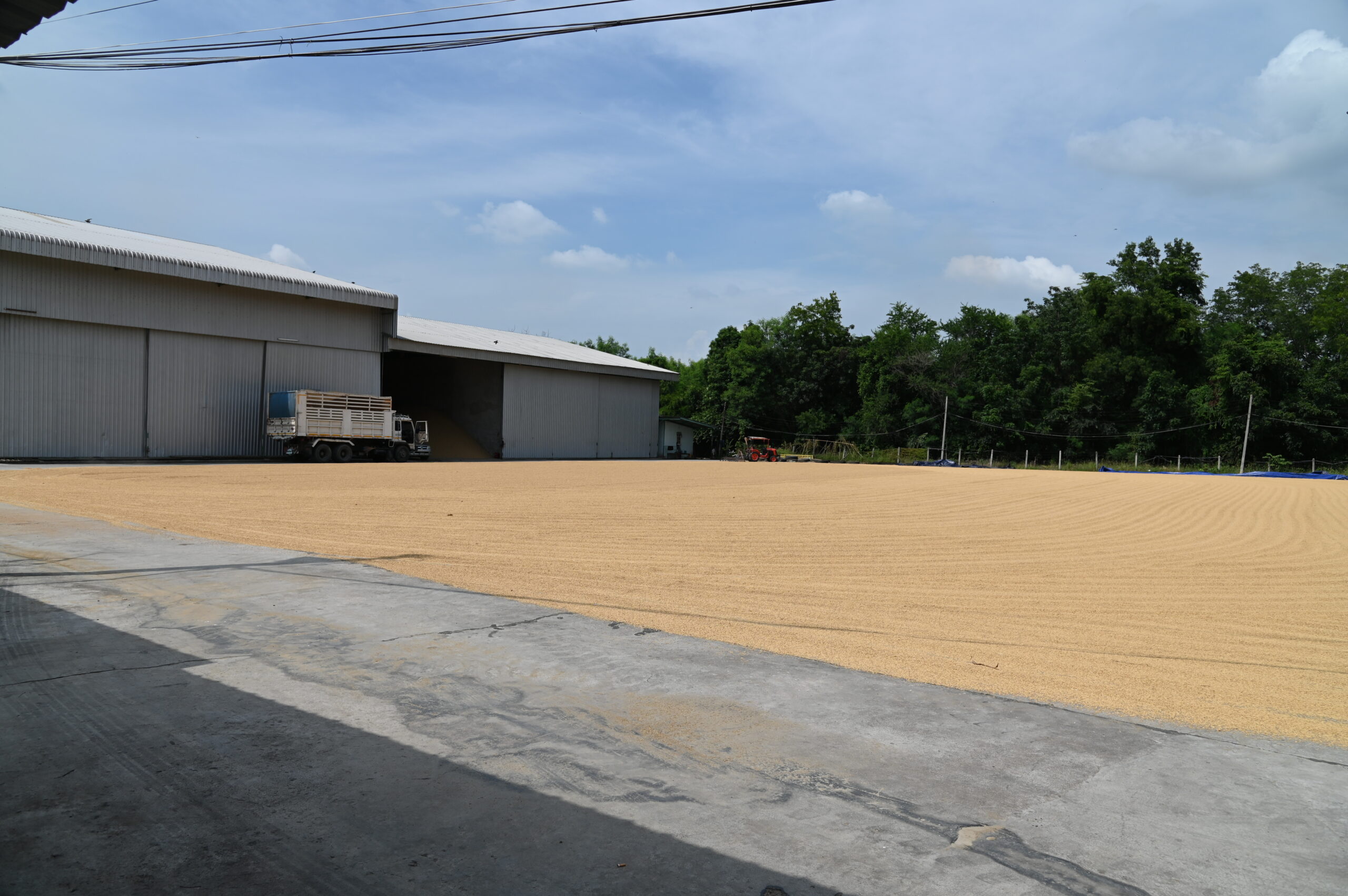 DIT ยืนยันดูแลราคาข้าวเหนียวเชียงใหม่อย่างใกล้ชิด เดินหน้ามาตรการพยุงราคา-ลดต้นทุน-ตรวจสอบการรับซื้อ ช่วยเกษตรกรขายได้ในระดับที่เป็นธรรม 5 dsc 4281 scaled