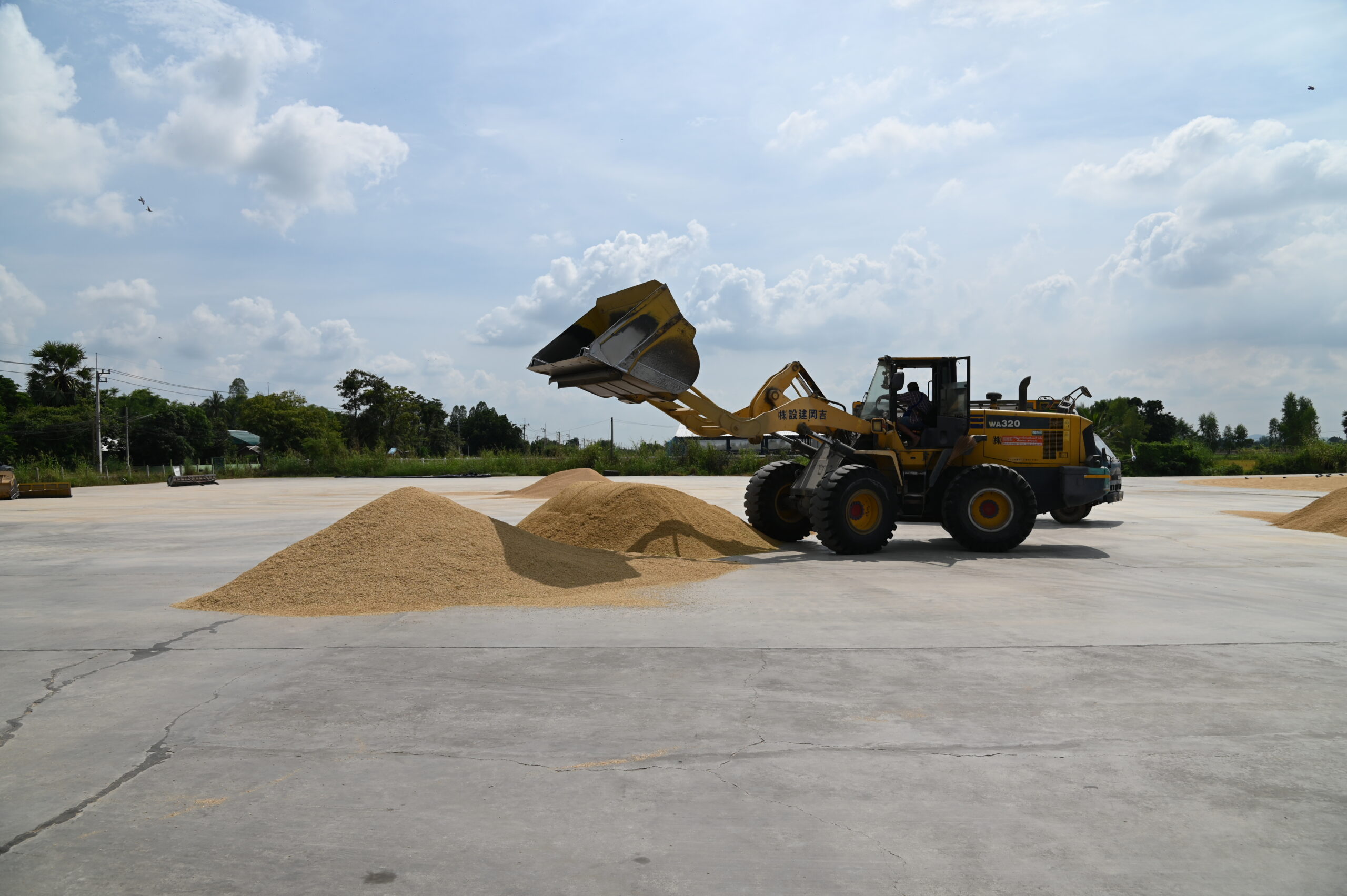 DIT ยืนยันดูแลราคาข้าวเหนียวเชียงใหม่อย่างใกล้ชิด เดินหน้ามาตรการพยุงราคา-ลดต้นทุน-ตรวจสอบการรับซื้อ ช่วยเกษตรกรขายได้ในระดับที่เป็นธรรม 6 dsc 4295 scaled