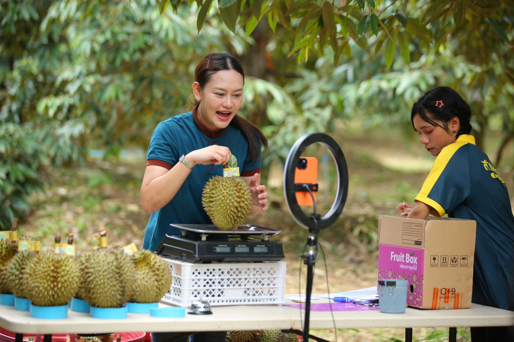 กรมส่งเสริมการเกษตร เปิดรับสมัคร “Young Smart Farmer” และ “Smart Farmer” ประจำปี 2569ยกระดับเกษตรกรไทยสู่เกษตรสมัยใหม่ ตามนโยบายกระทรวงเกษตรและสหกรณ์ 6 i 2