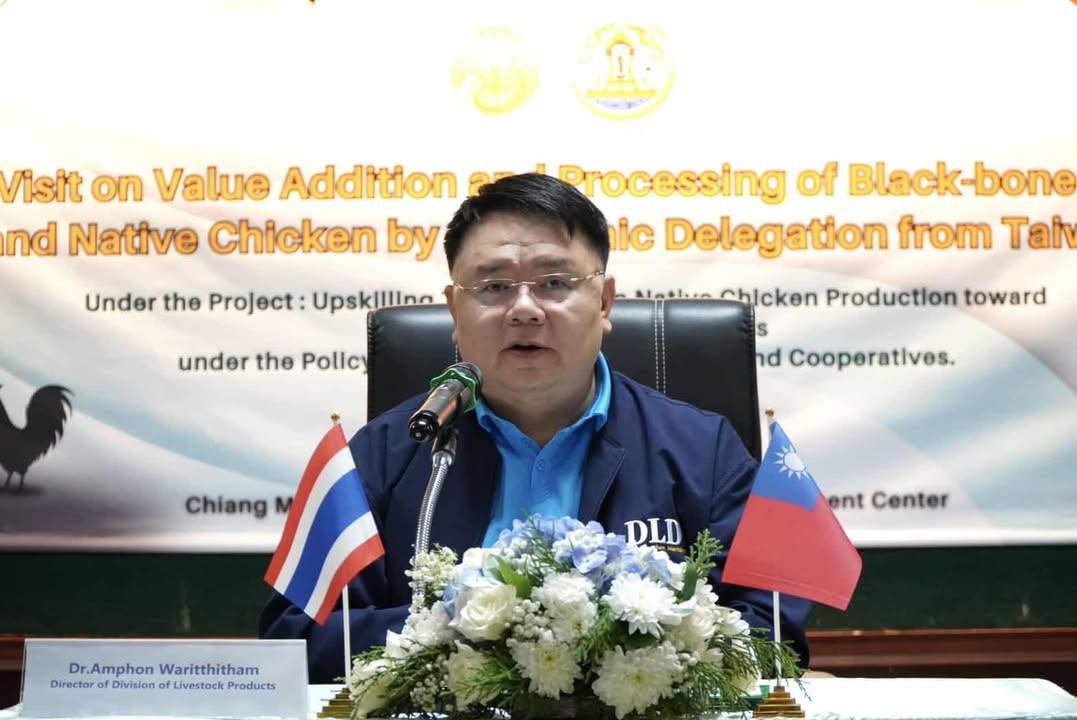 กรมปศุสัตว์ต้อนรับคณะผู้แทนจากไต้หวัน ศึกษาดูงานการเพิ่มมูลค่าการผลิตไก่พื้นเมืองและไก่กระดูกดำไทยสานต่อความร่วมมือวิชาการไทย–ไต้หวัน เพื่อยกระดับเกษตรกรผู้เลี้ยงไก่พื้นเมืองสู่ตลาดสากล 2 messageImage 1760691655277