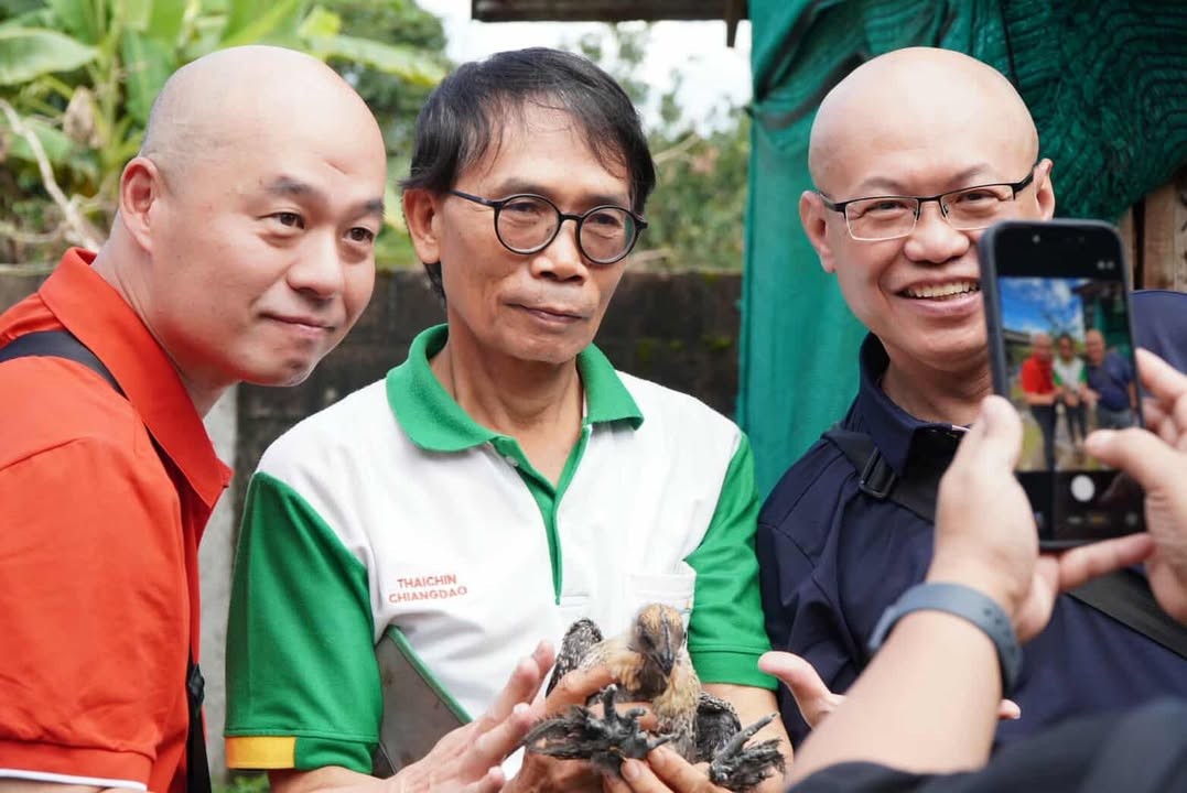 กรมปศุสัตว์ต้อนรับคณะผู้แทนจากไต้หวัน ศึกษาดูงานการเพิ่มมูลค่าการผลิตไก่พื้นเมืองและไก่กระดูกดำไทยสานต่อความร่วมมือวิชาการไทย–ไต้หวัน เพื่อยกระดับเกษตรกรผู้เลี้ยงไก่พื้นเมืองสู่ตลาดสากล 7 messageImage 1760691701572