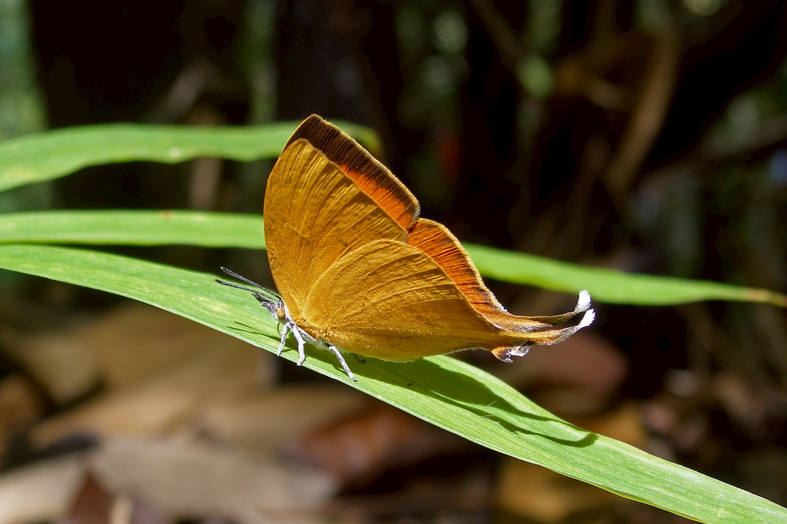 messageImage 1760705282588