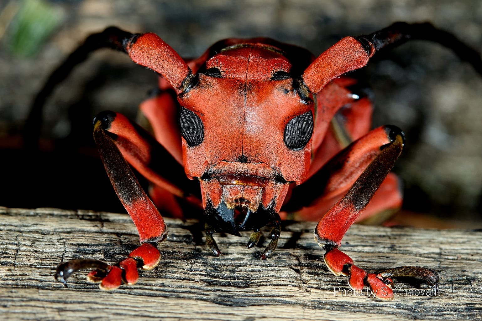 messageImage 1760705289256