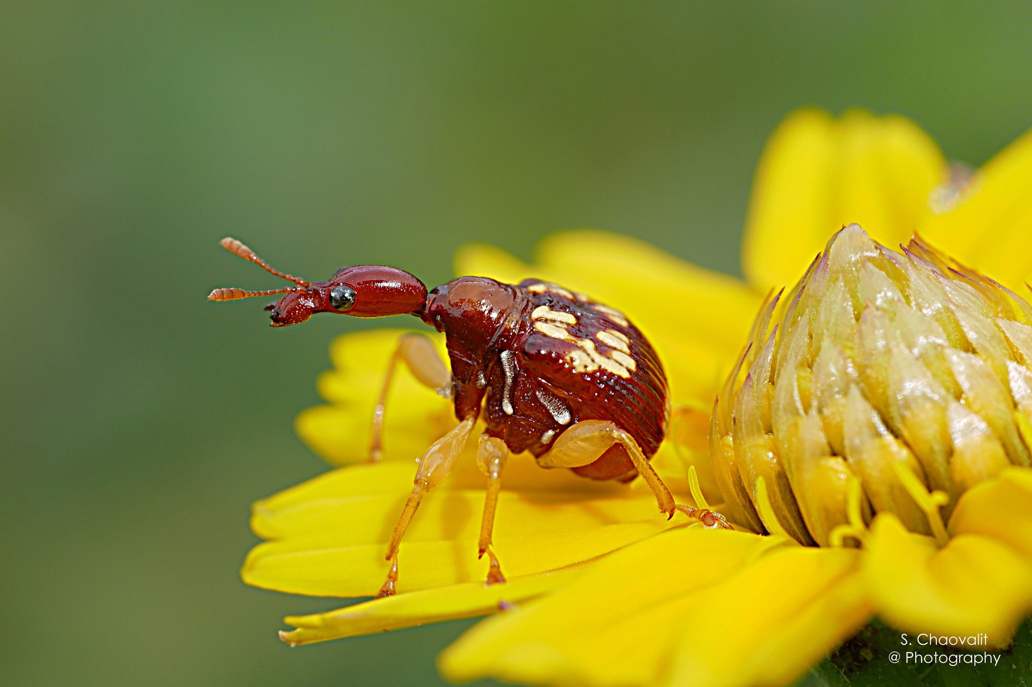 messageImage 1760705296248