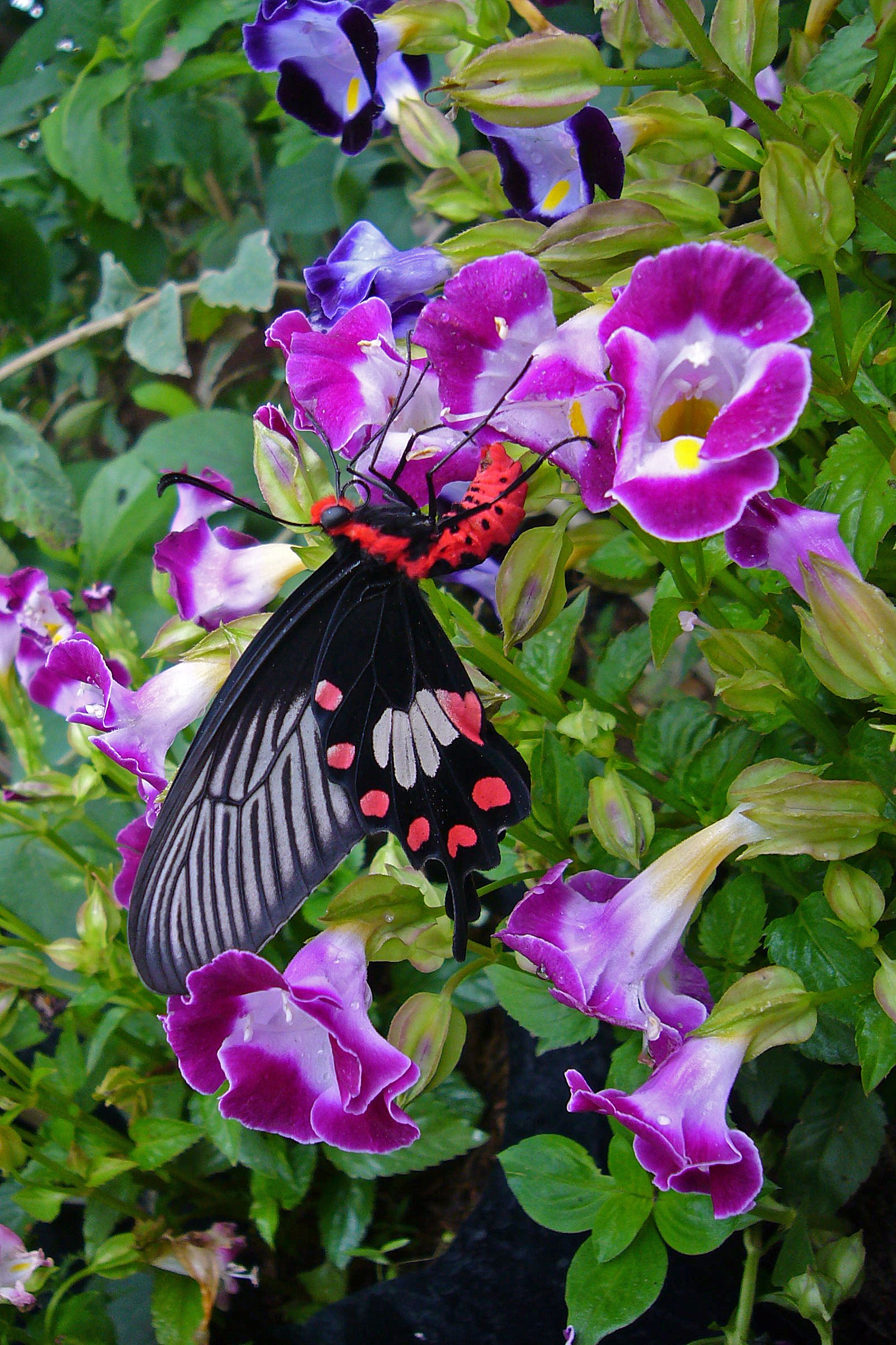 messageImage 1760705304773