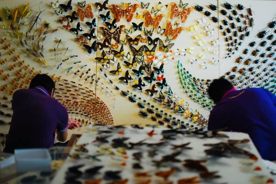 messageImage 1760705311674