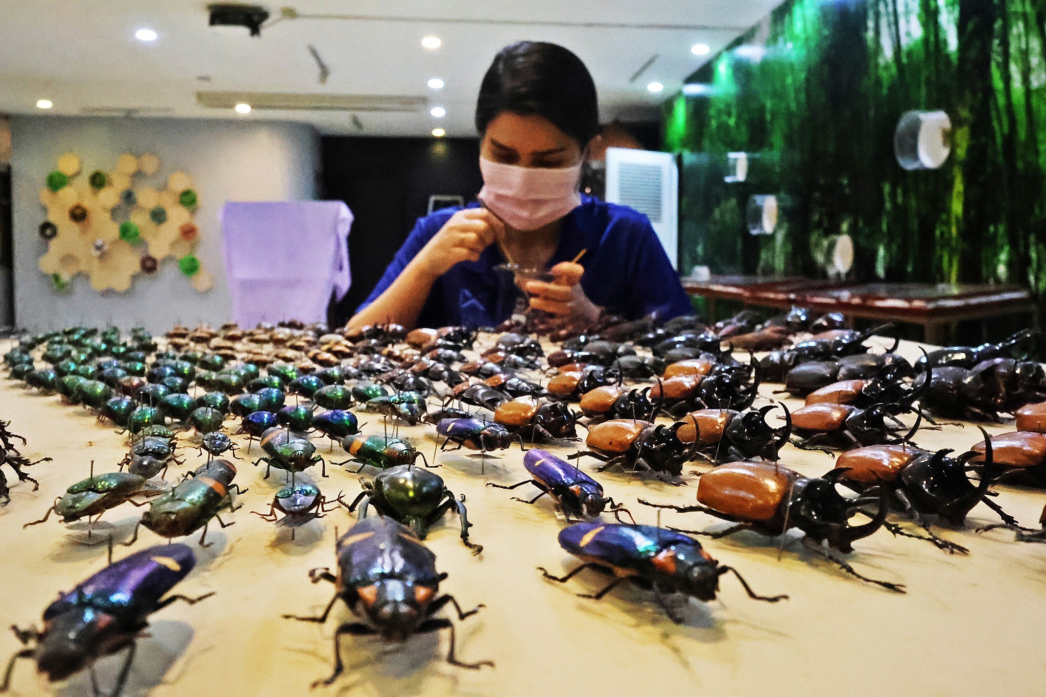 messageImage 1760705319217