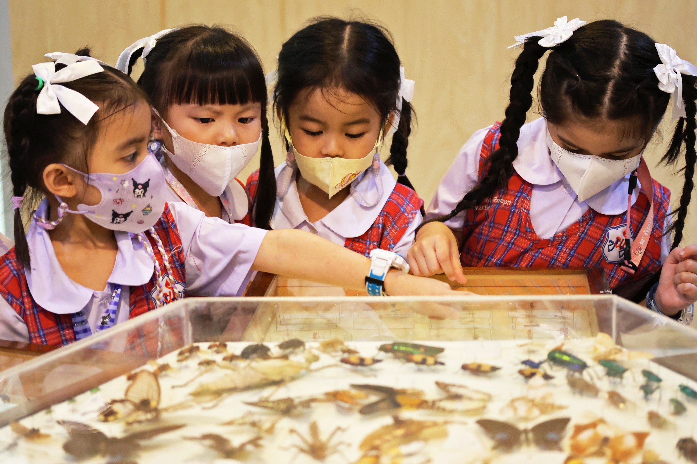 messageImage 1760705327583