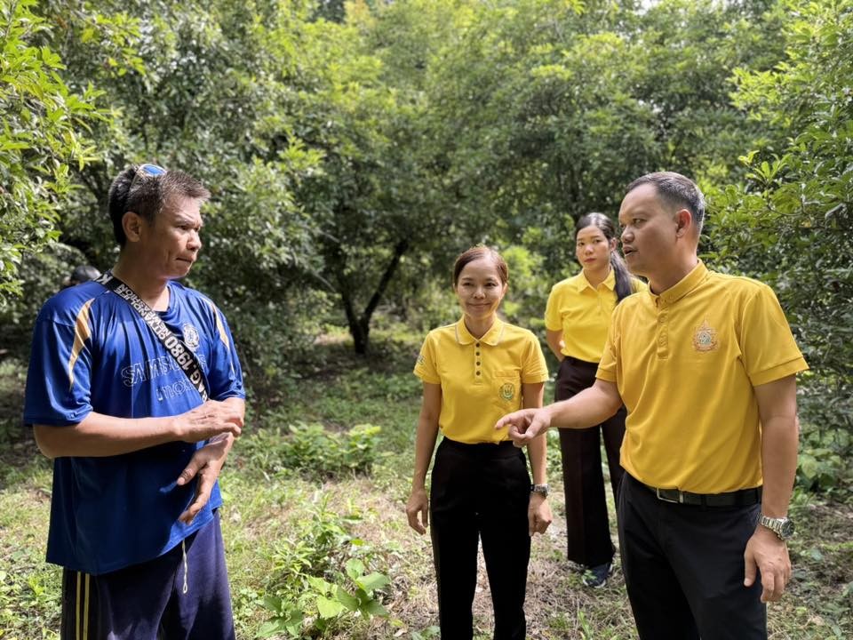 เกษตรนครสวรรค์ ลงพื้นที่เยี่ยมเยียนเกษตรกรผู้ปลูกละมุด ตำบลบางมะฝ่อ อำเภอโกรกพระ 3 messageImage 1760842341253