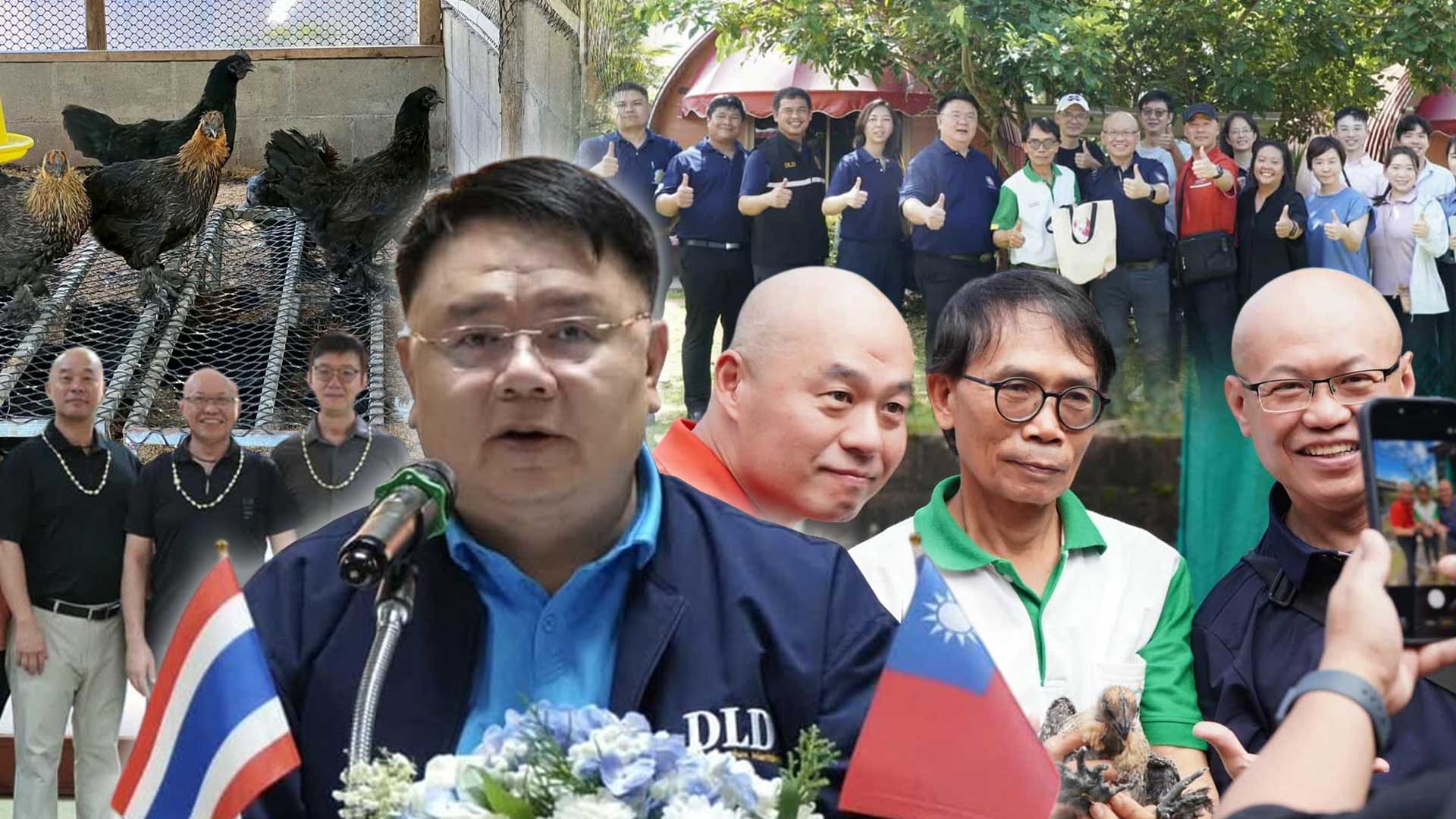 กรมปศุสัตว์ต้อนรับคณะผู้แทนจากไต้หวัน ศึกษาดูงานการเพิ่มมูลค่าการผลิตไก่พื้นเมืองและไก่กระดูกดำไทยสานต่อความร่วมมือวิชาการไทย–ไต้หวัน เพื่อยกระดับเกษตรกรผู้เลี้ยงไก่พื้นเมืองสู่ตลาดสากล 1 กรมปศุสัตว์ ต้อนรับคณะผู้แทนจากไต้หวัน3 1