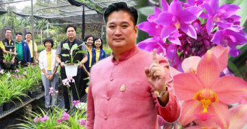 กรมวิชาการเกษตร2