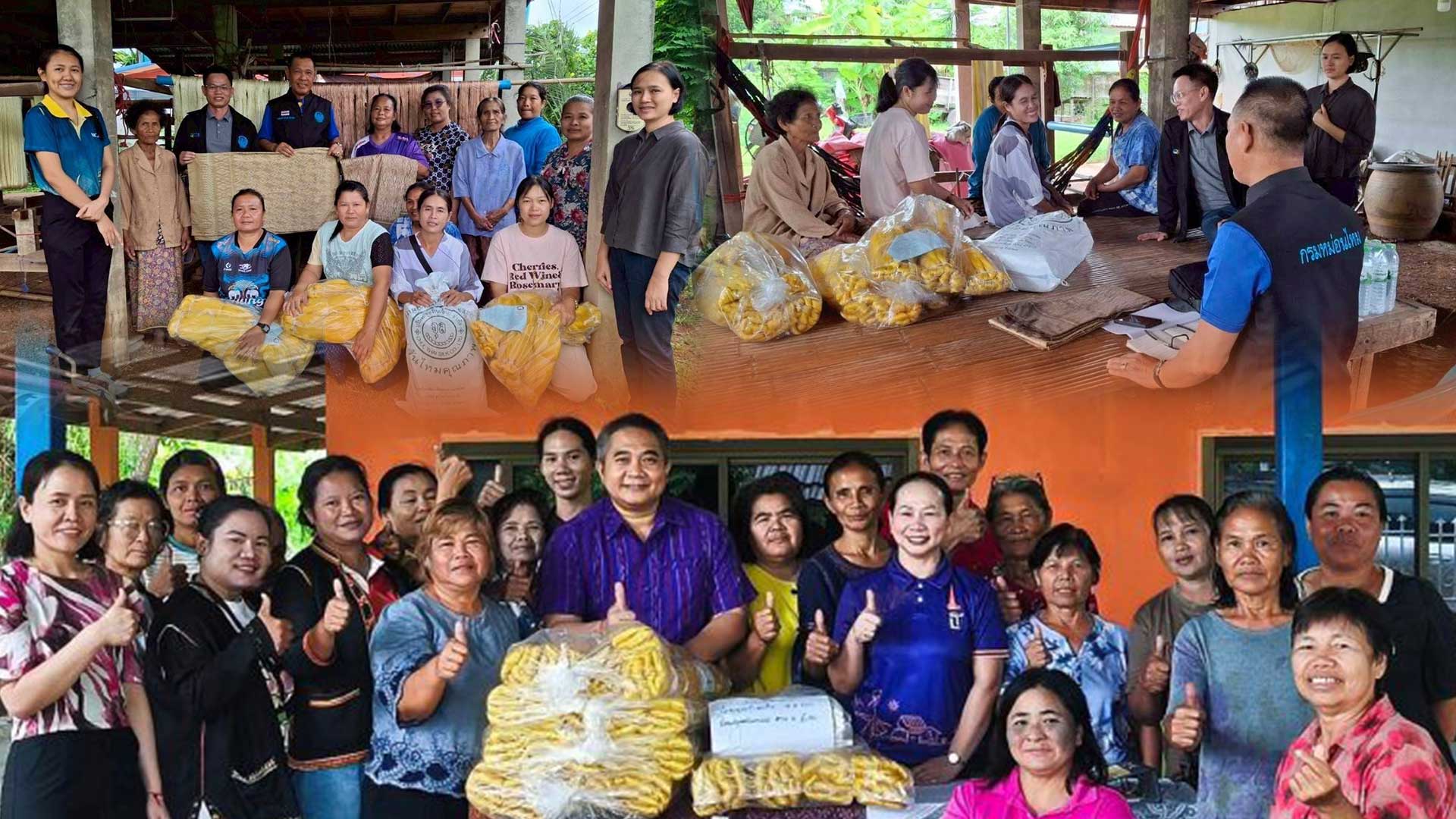 กรมหม่อนไหมเดินหน้า “ธนาคารปัจจัยการผลิตด้านหม่อนไหม” 94 แห่ง ครอบคลุม 33 จังหวัด ยกระดับการเข้าถึงวัตถุดิบ–หนุนเศรษฐกิจฐานราก ตามแนวทาง BCG 1 กรมหม่อนไหม เดินหน้า3