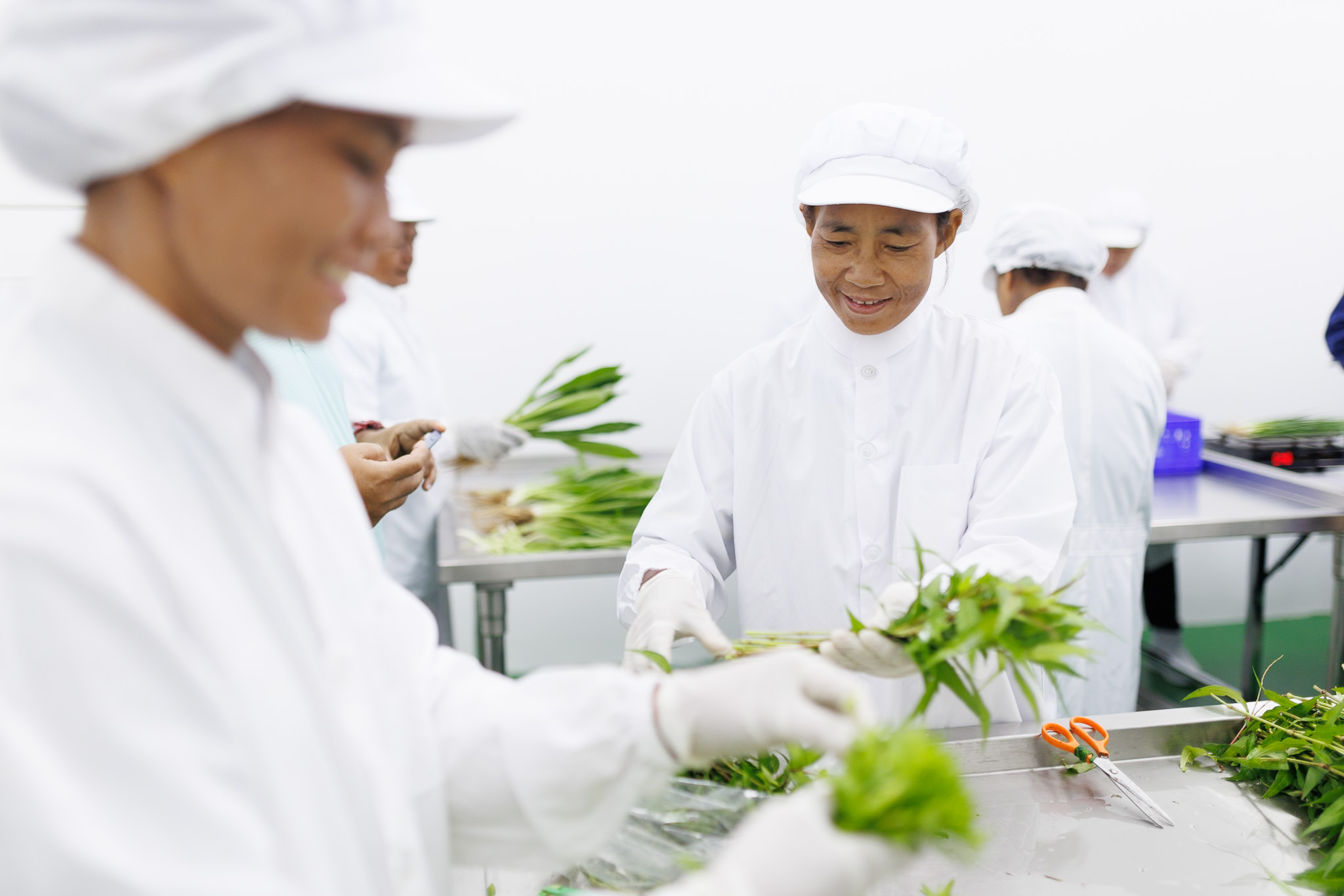 ถอดรหัสวิสาหกิจชุมชนต้นแบบ กระบวน