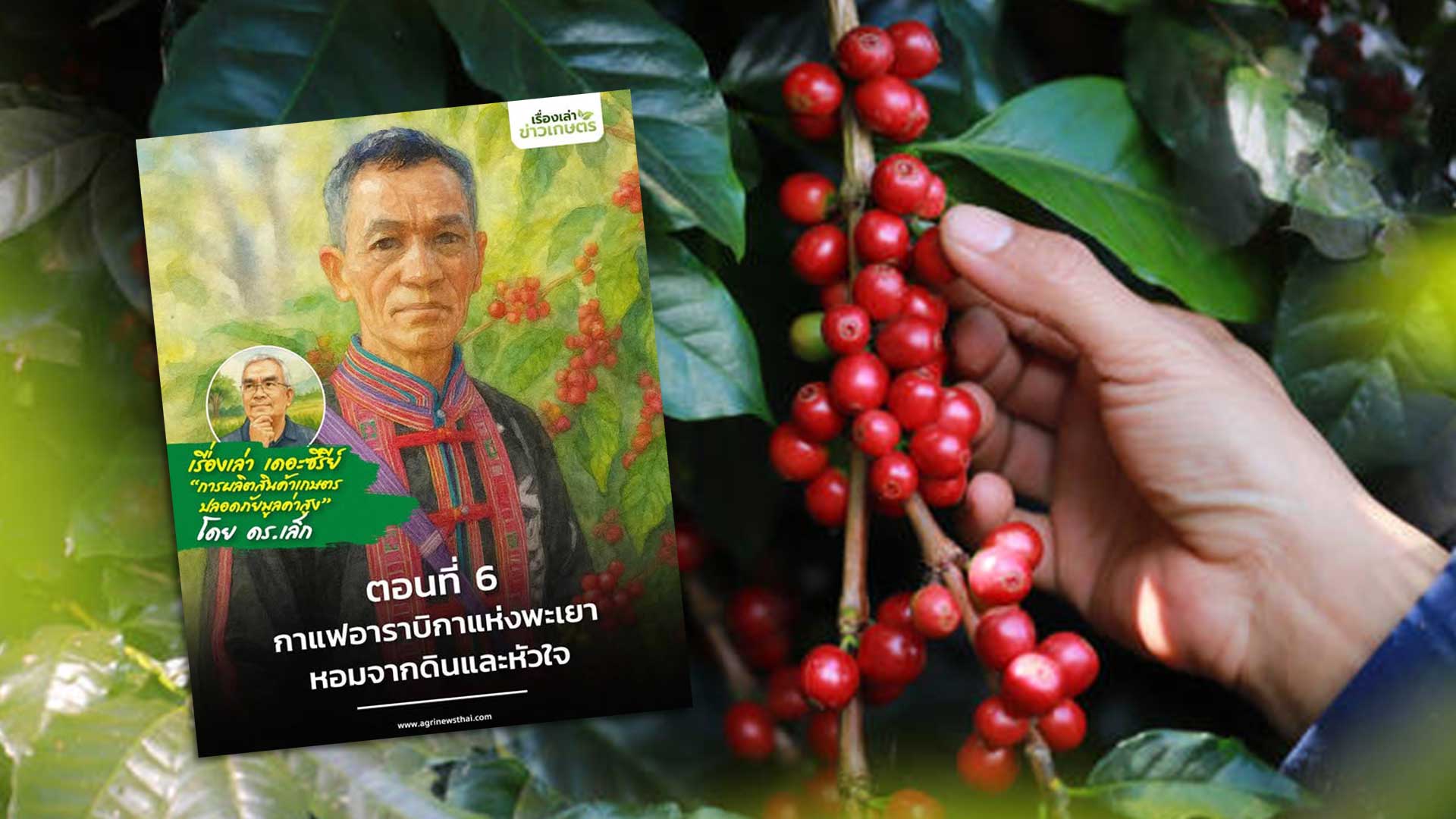 เรื่องเล่า เดอะซีรีส์ “การผลิตสินค้าเกษตรปลอดภัยมูลค่าสูง” โดย ดร.เล็ก ตอนที่ 6 : “กาแฟอาราบิกาแห่งพะเยา…หอมจากดินและหัวใจ” 1 กาแฟอาราบิกาแห่งพะเยา3