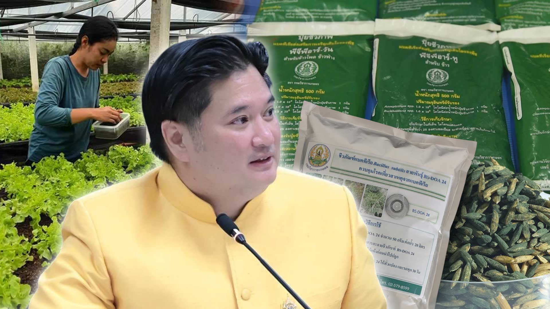 กรมวิชาการเกษตร ขยายผลงานวิจัยเชิงพาณิชย์ เปิดโผ 3 ปุ๋ยตัวท็อป เอกชนชิงรับถ่ายทอดเทคโนโลยีมากสุด 1 ขยายผลงานวิจัยเชิงพาณิชย์3