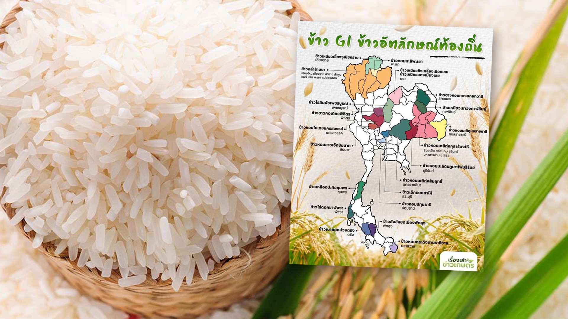 GI คืออะไร ข้าว GI มีที่ไหนบ้าง 1 ข้าว GI2