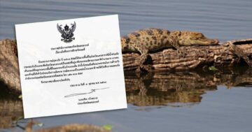 จระเข้หลุด3